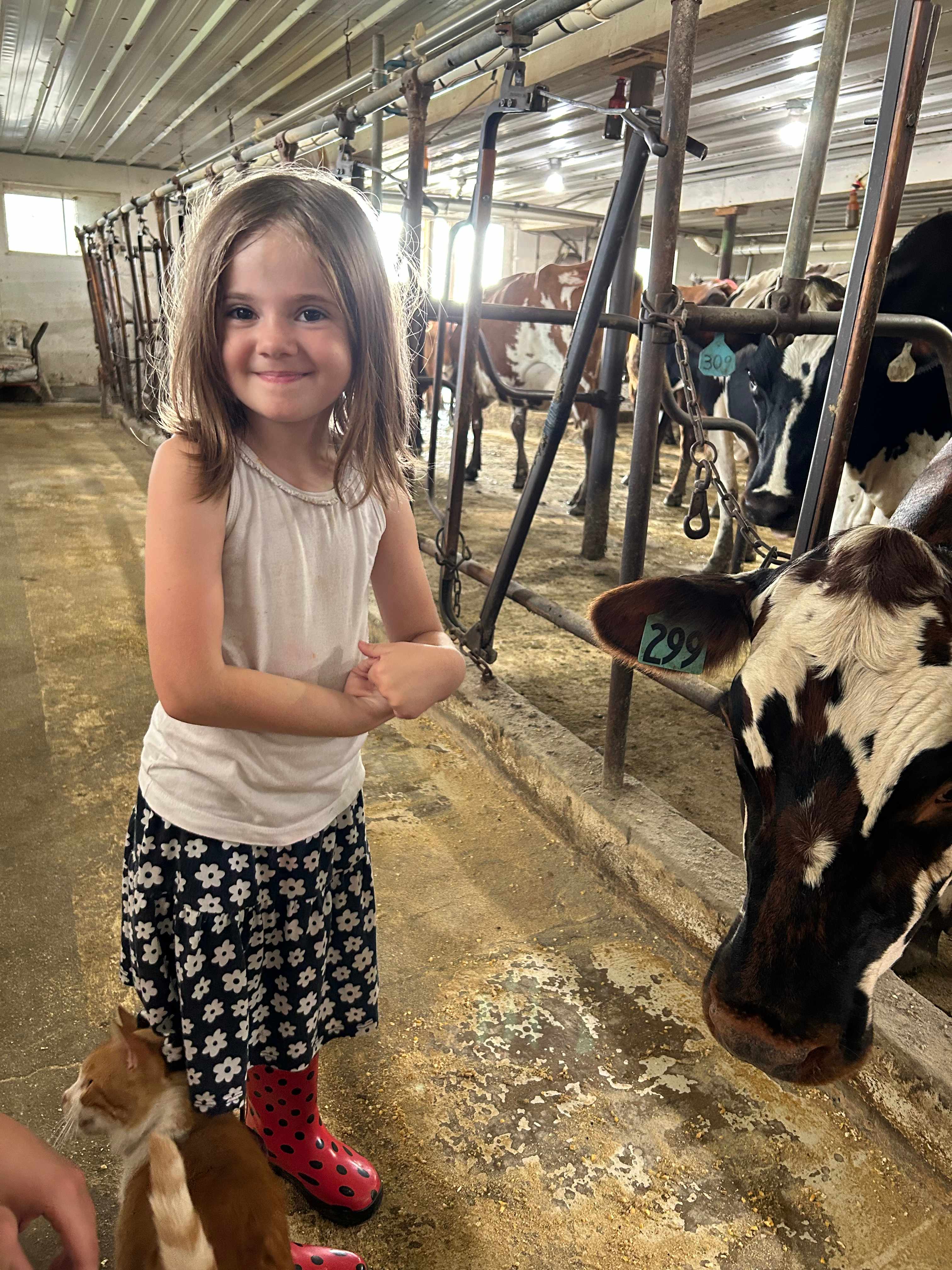 Gilles Family Dairy & Woodland