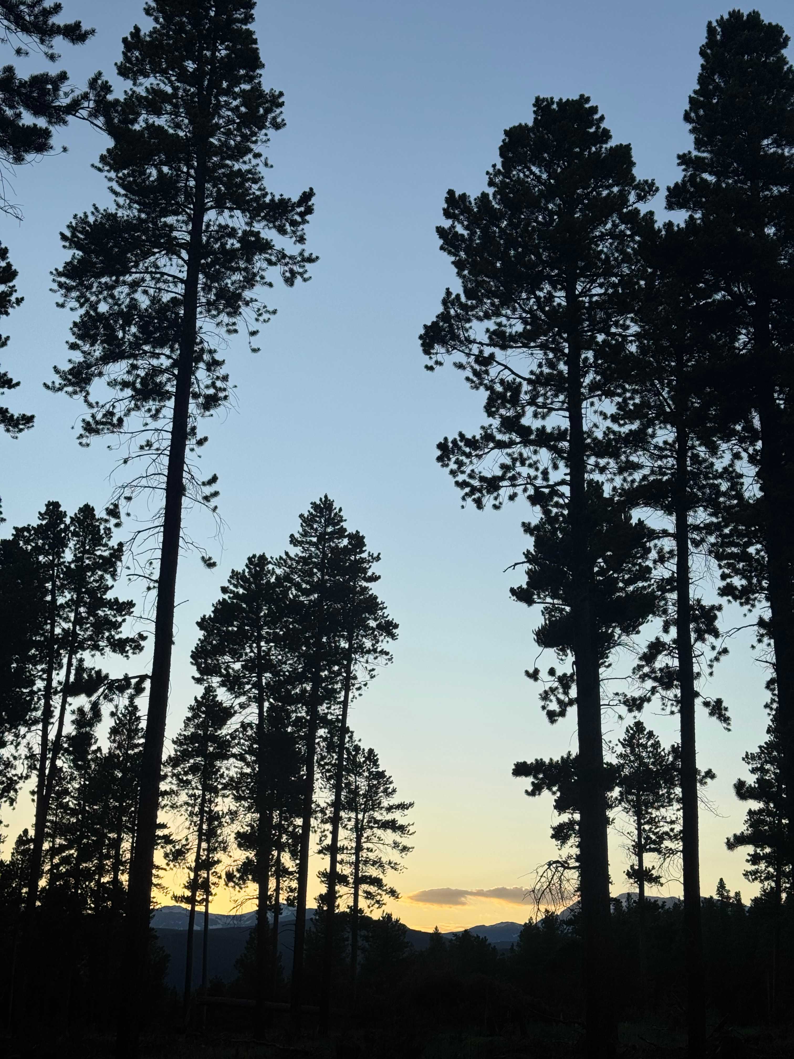 Rollinsville Adventure Camp