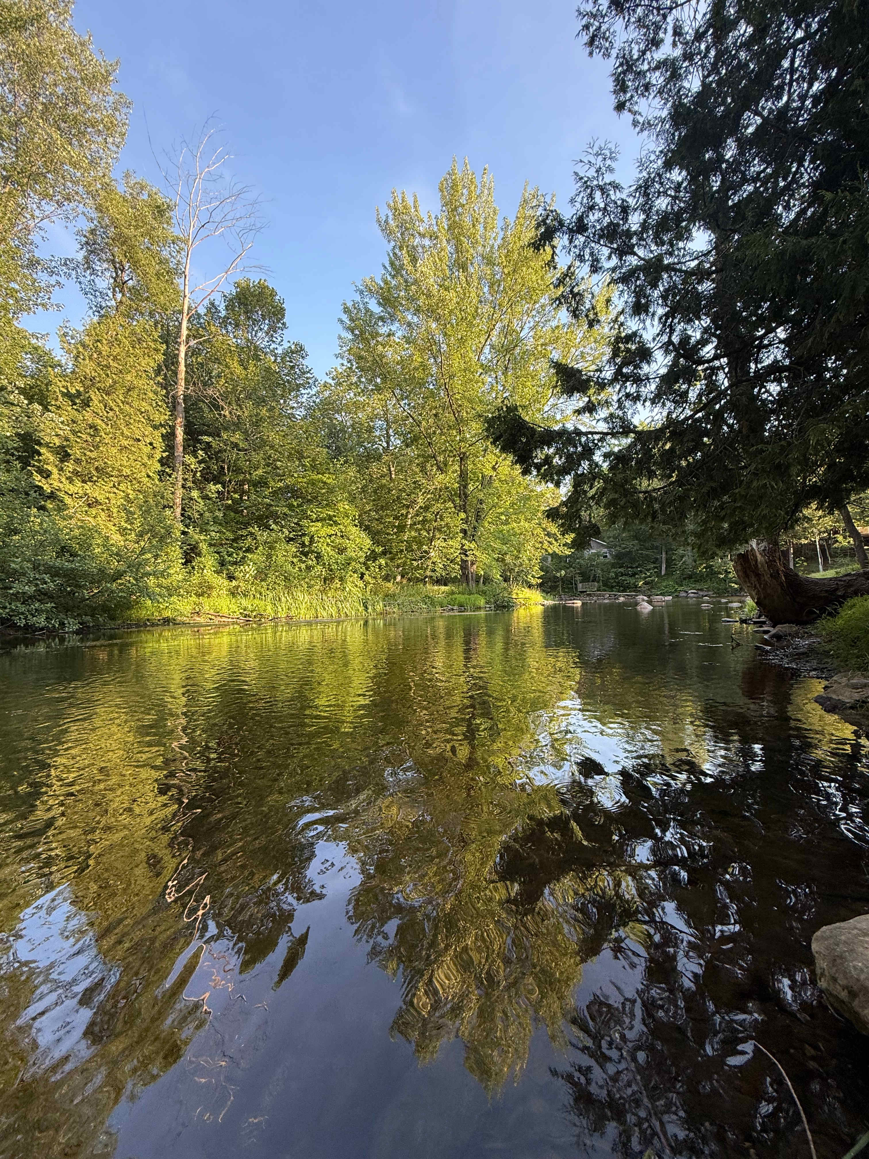 Sherman City Acres
