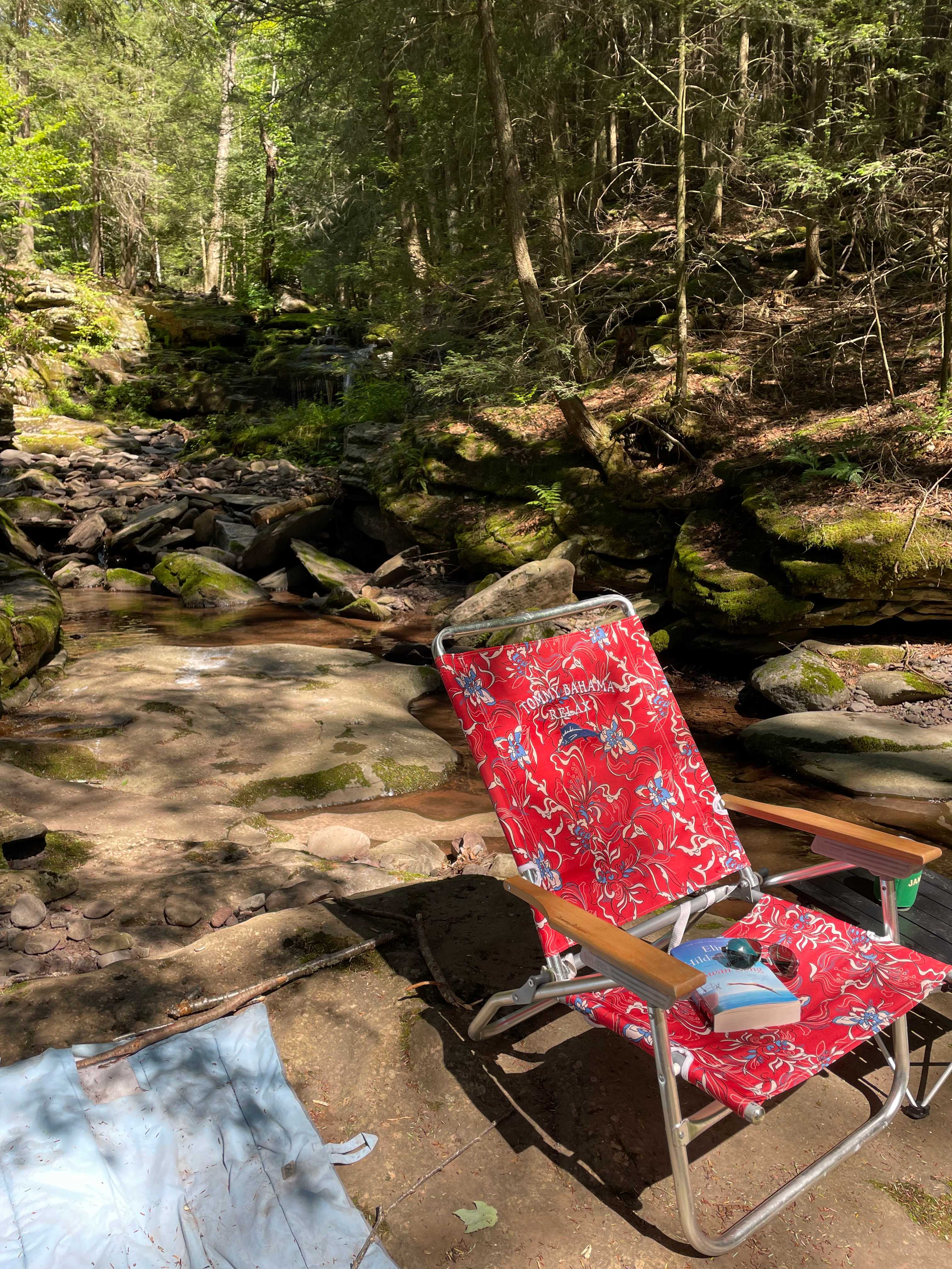 View from down stream looking up at waterfall. 