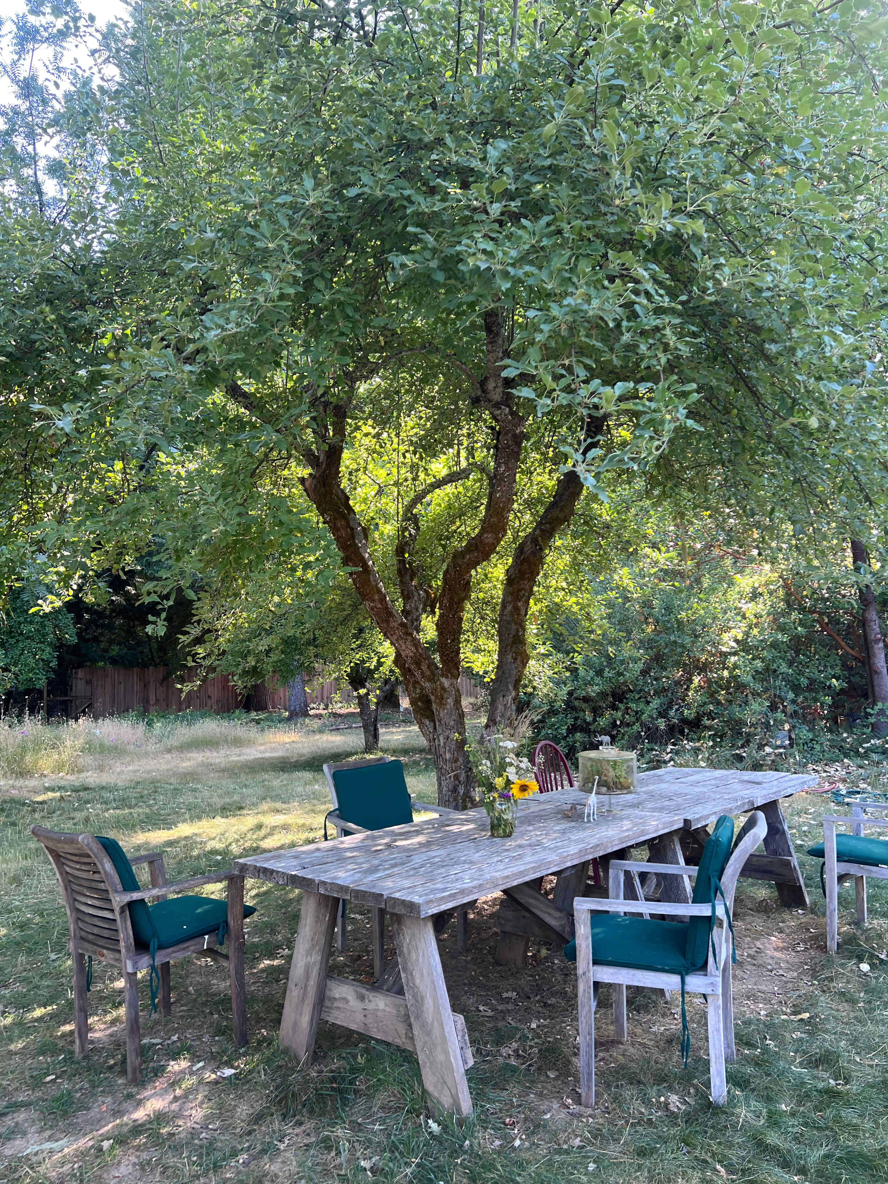 Lucky Penny Laytonville