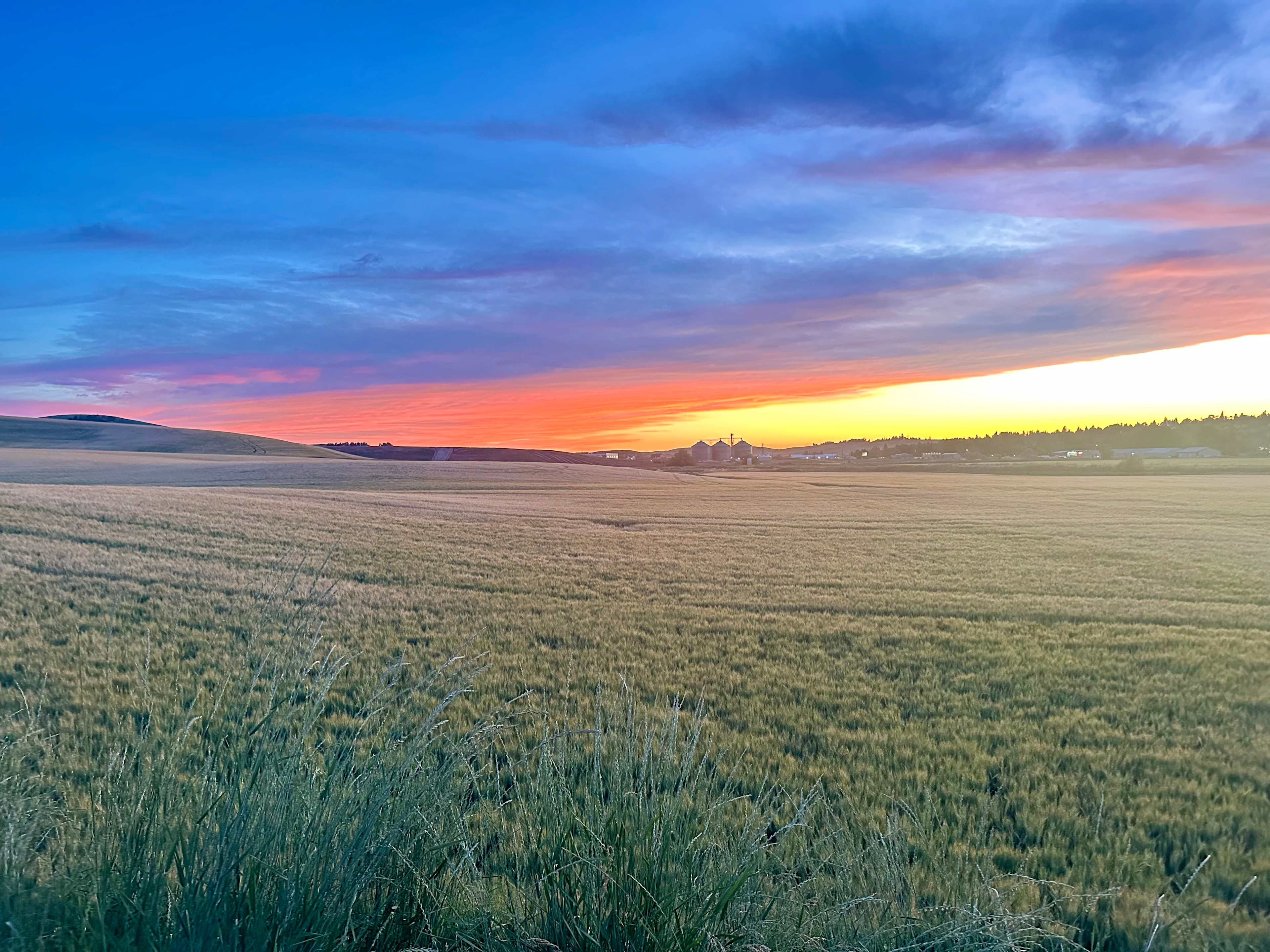 Convenient Palouse Paradise