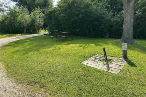 Picture of the site