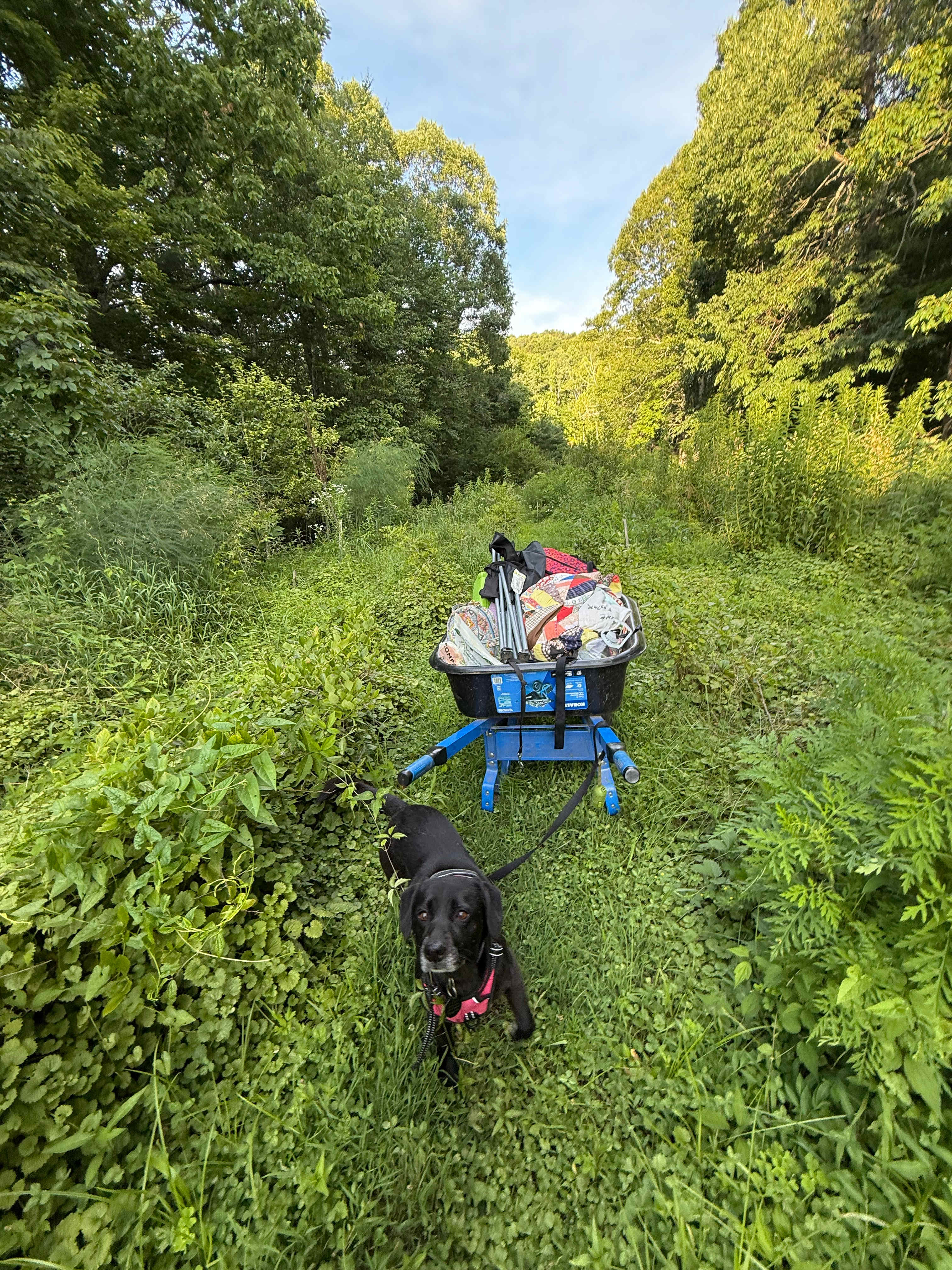 Campgrounds at Little Switzerland