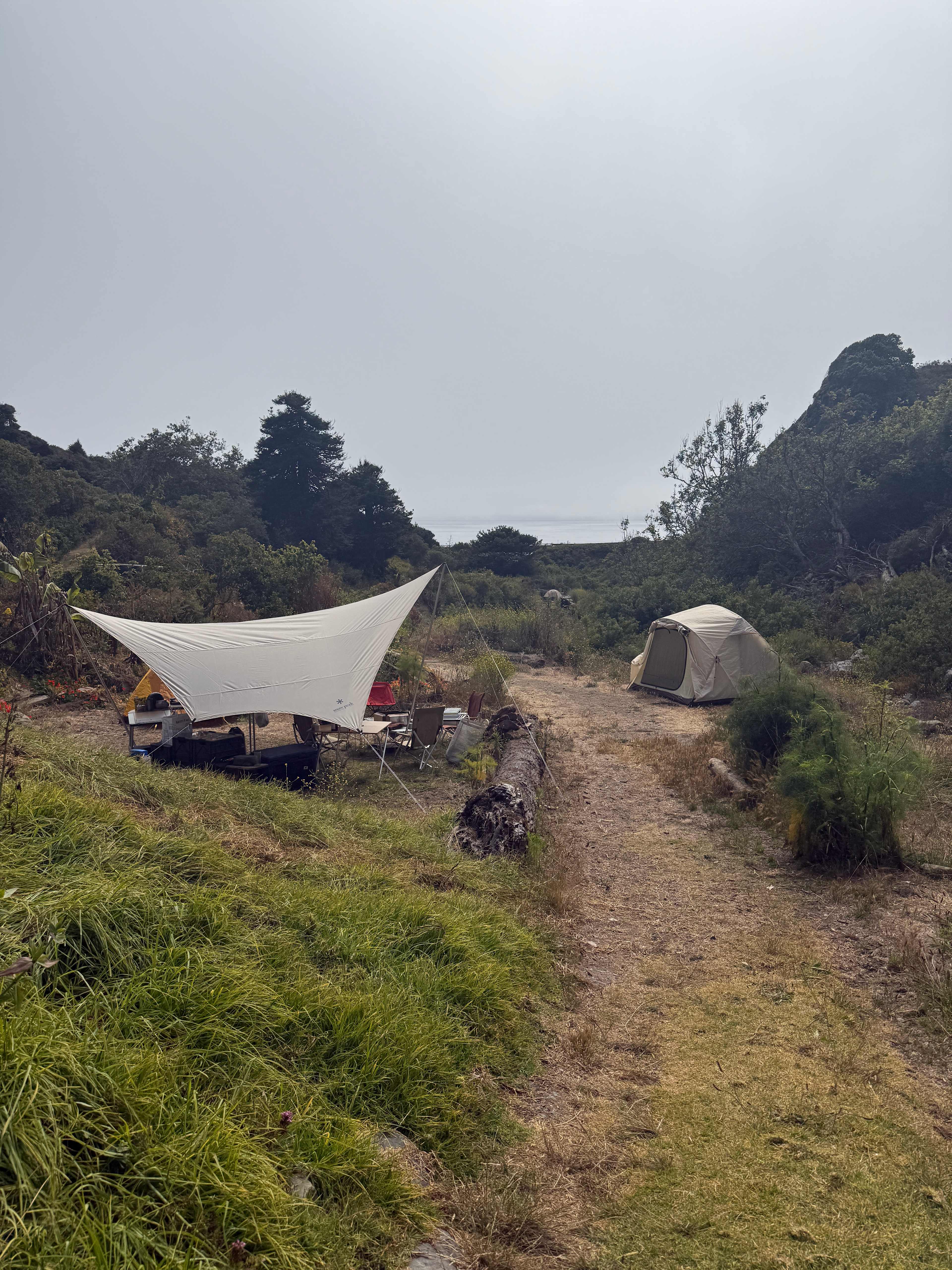 dabudage Big Sur
