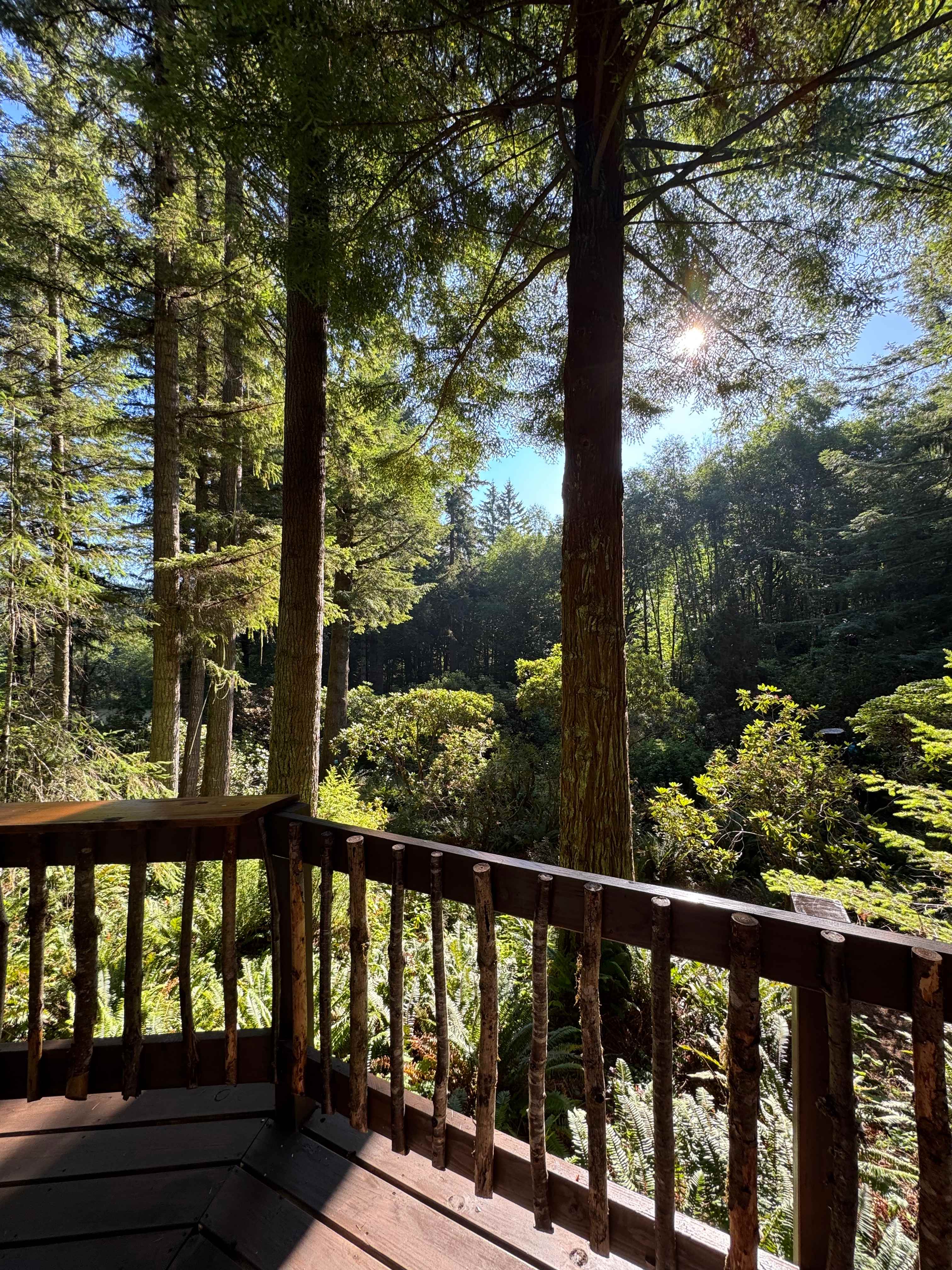 Nelson Mountain Gardens