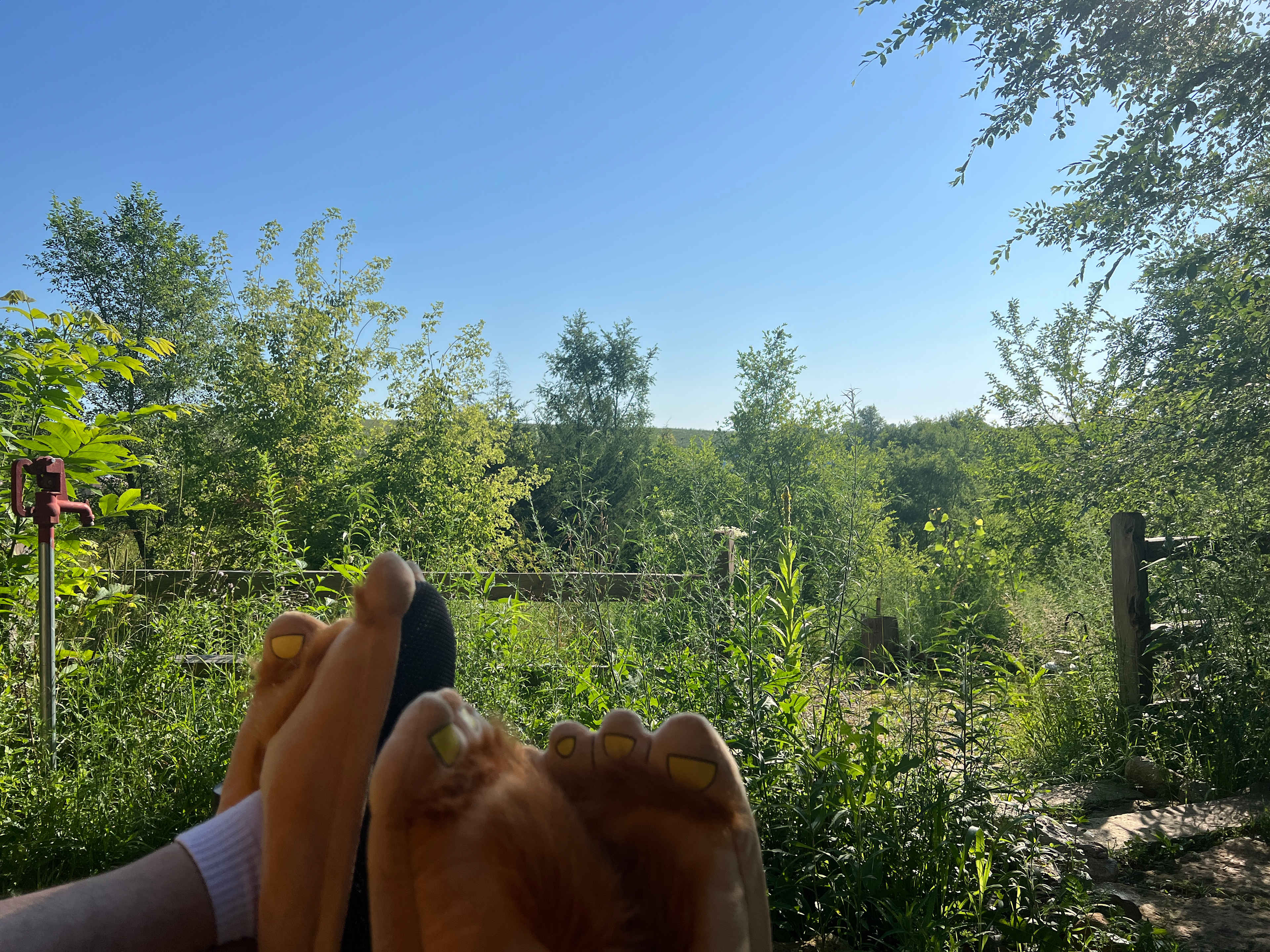 View from home