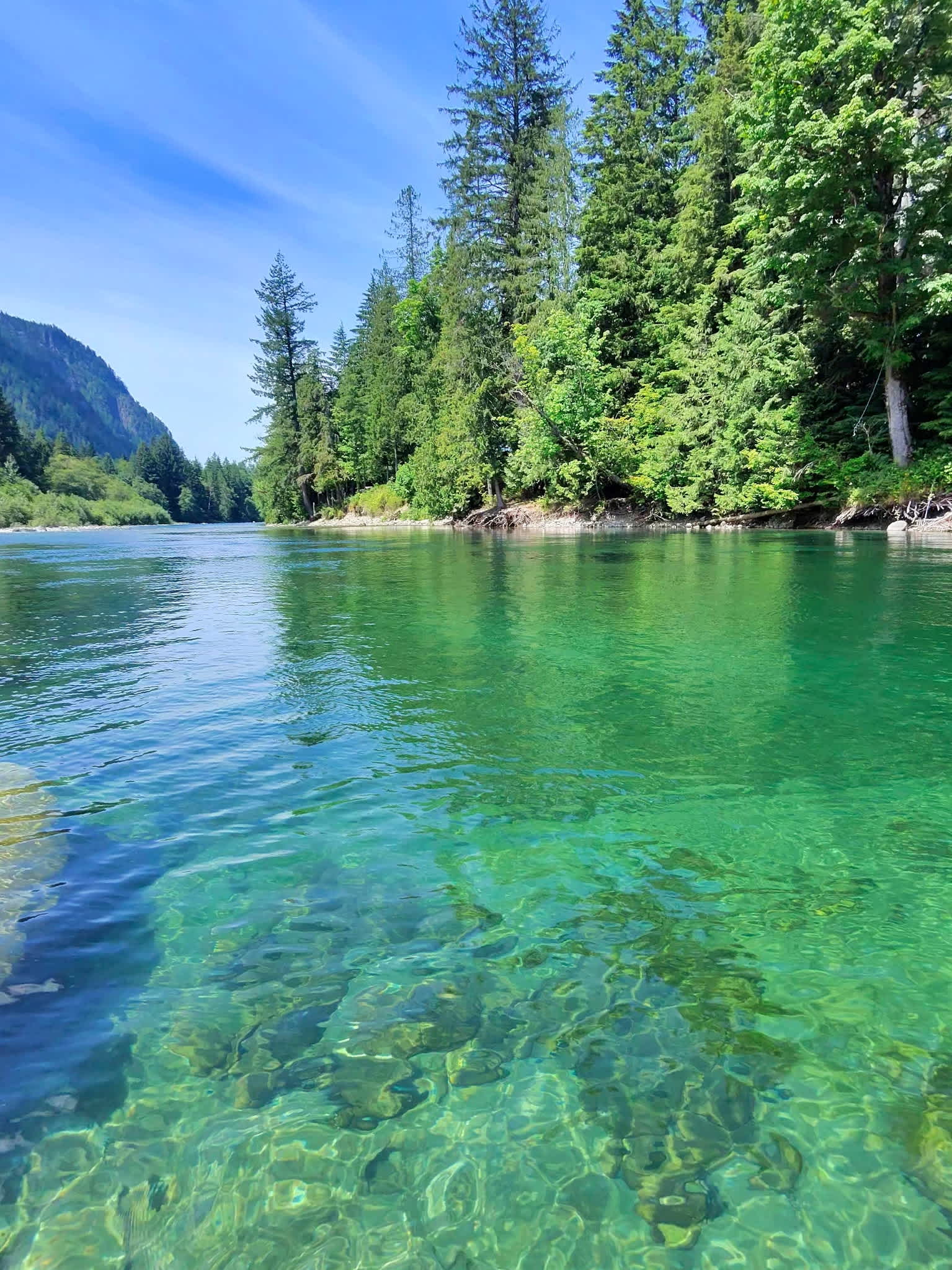 The Rivershack Baring