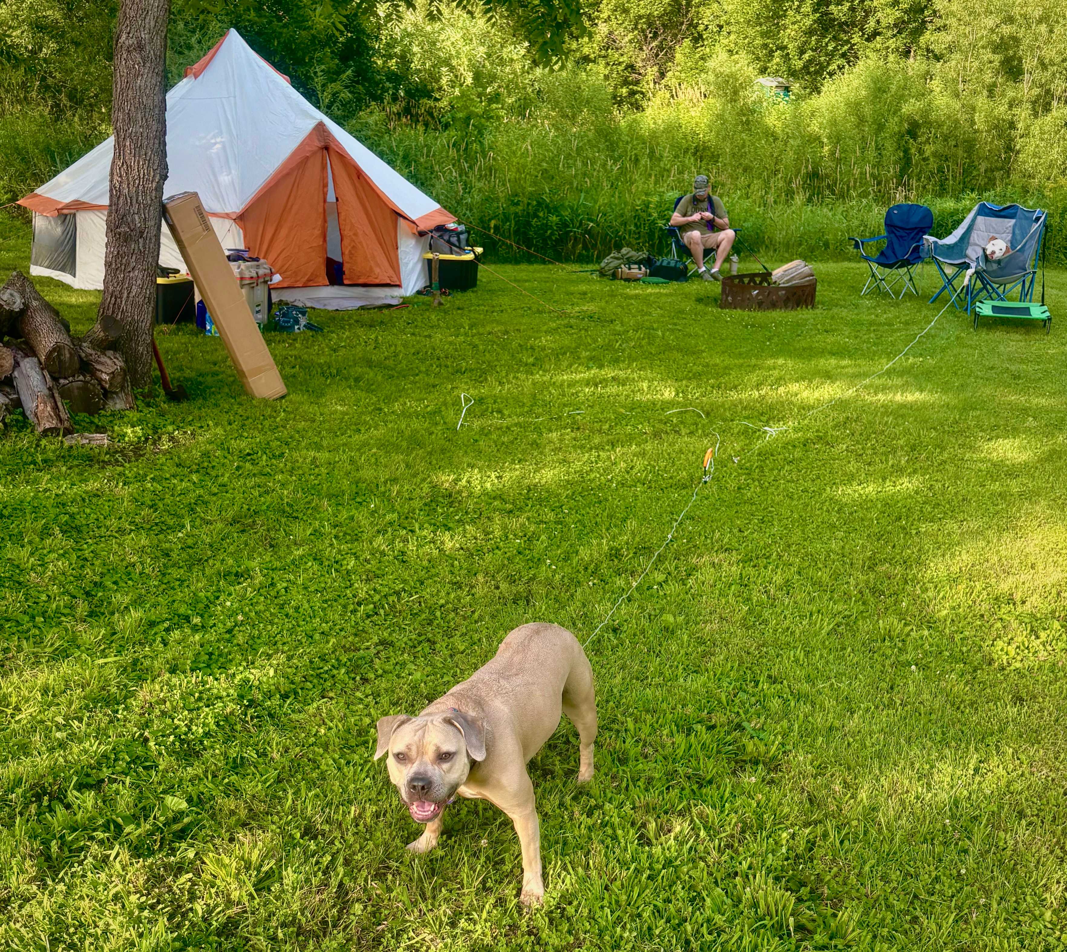Picture of the site