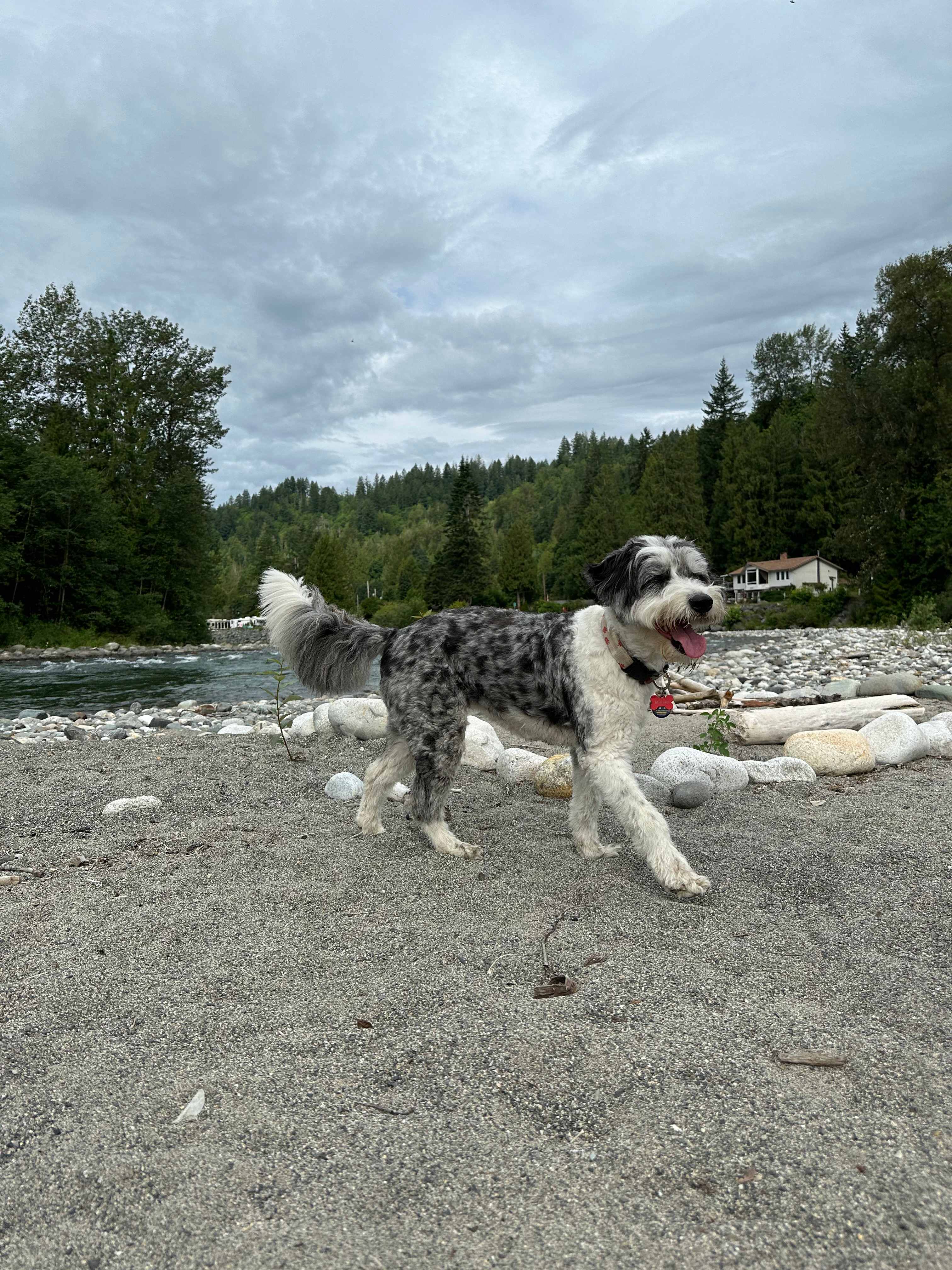 Living Large on Chilliwack River