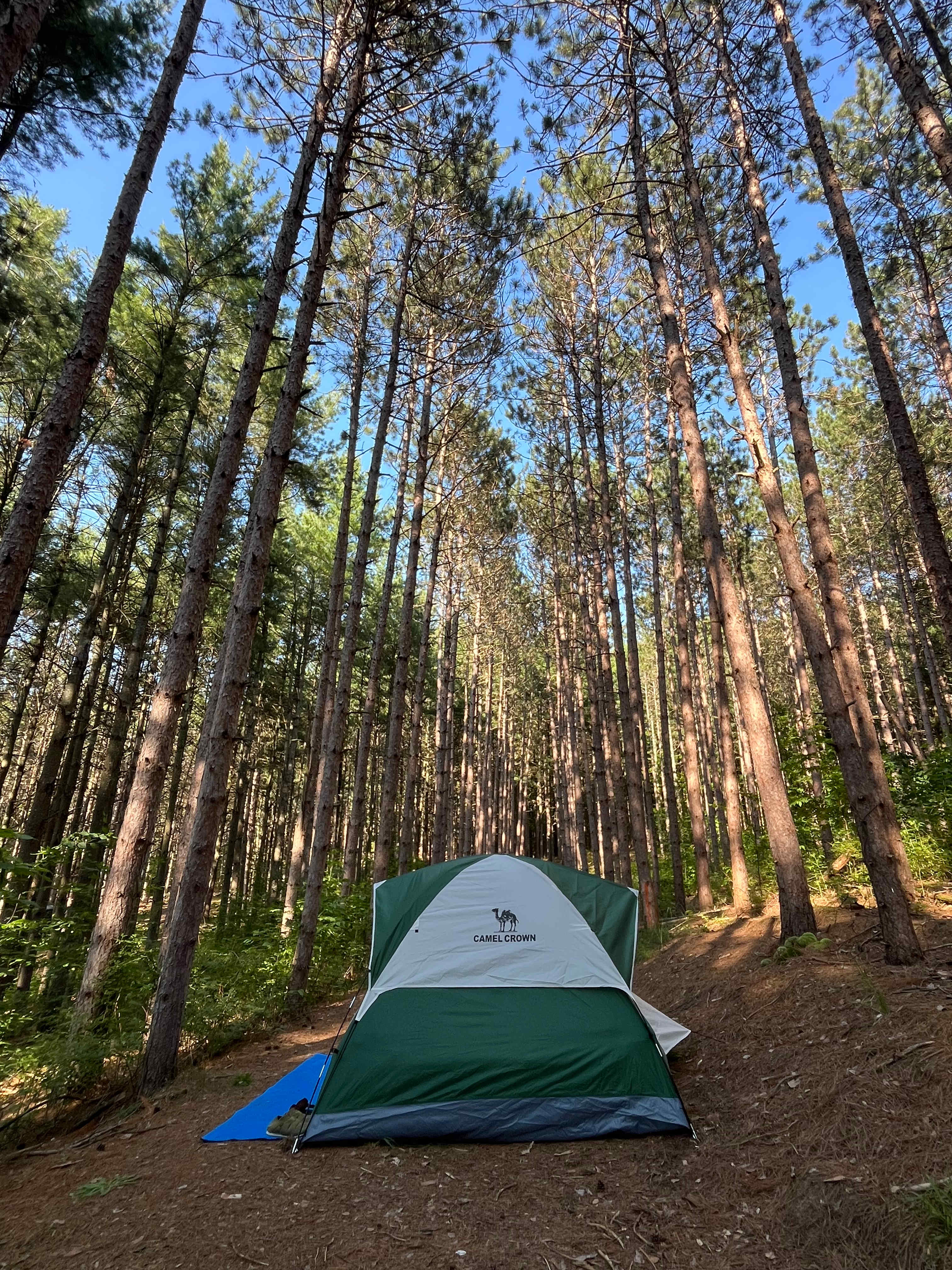 Campsite 