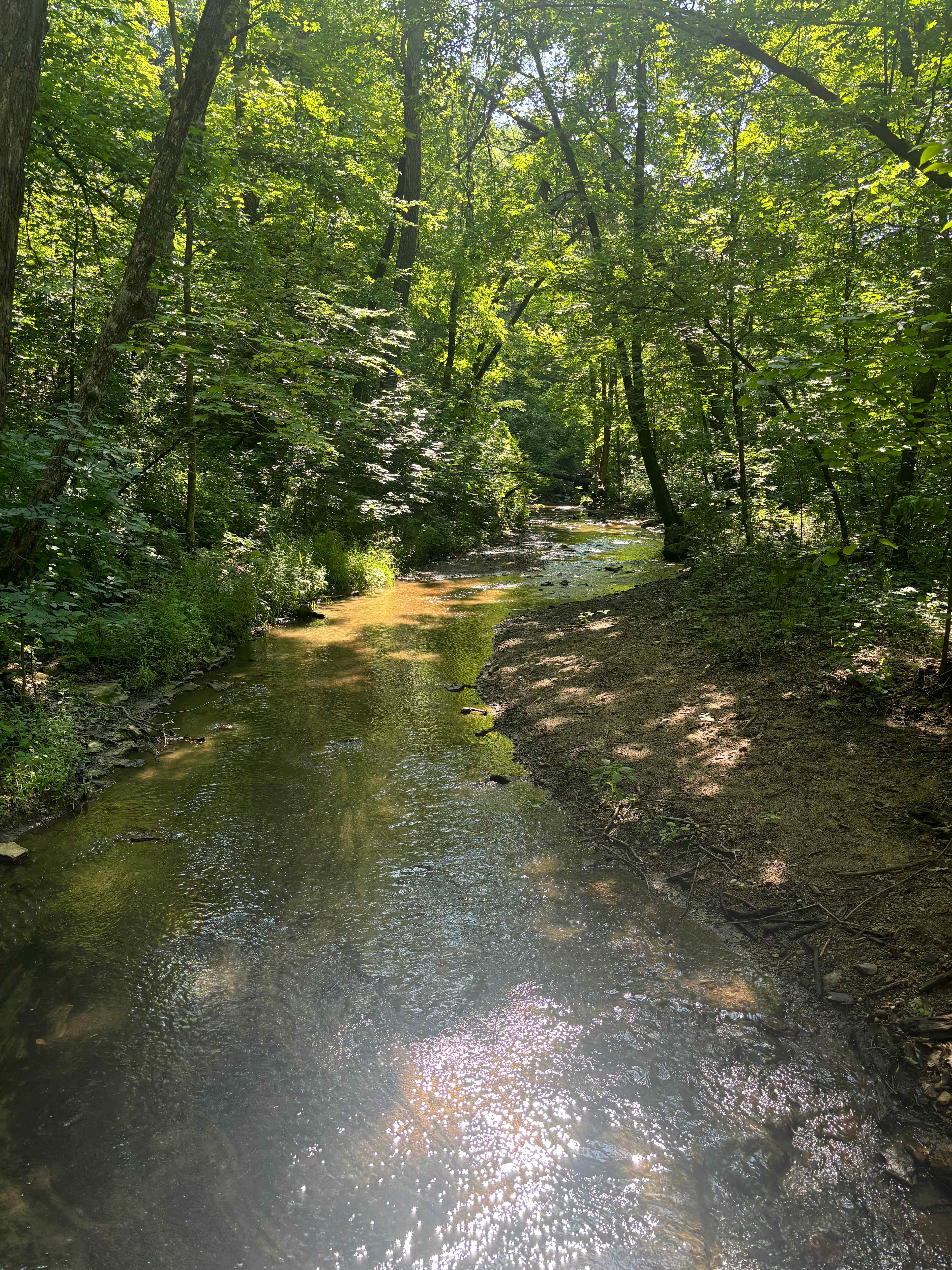 I love creek