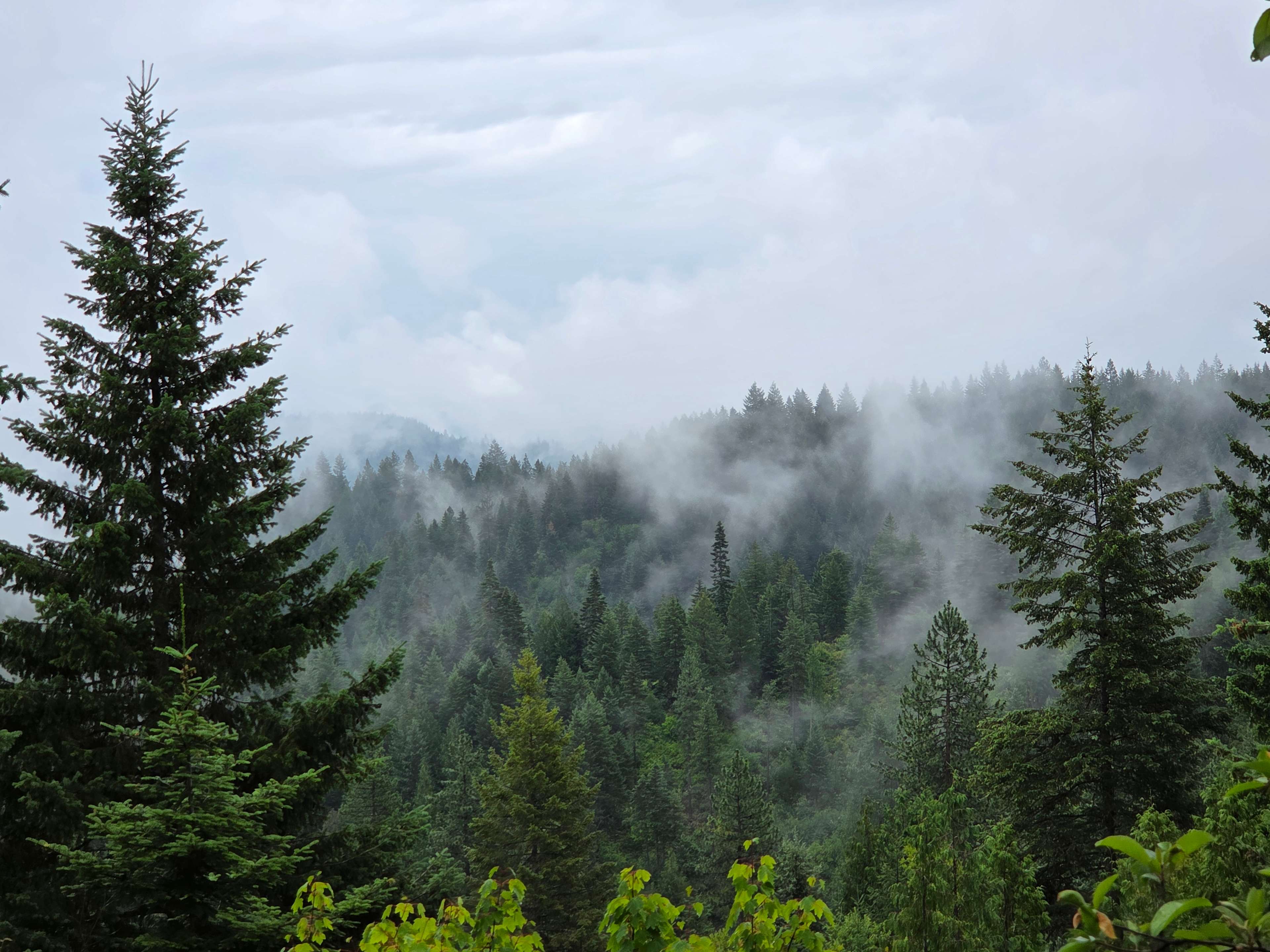 Last morning after heavy rain