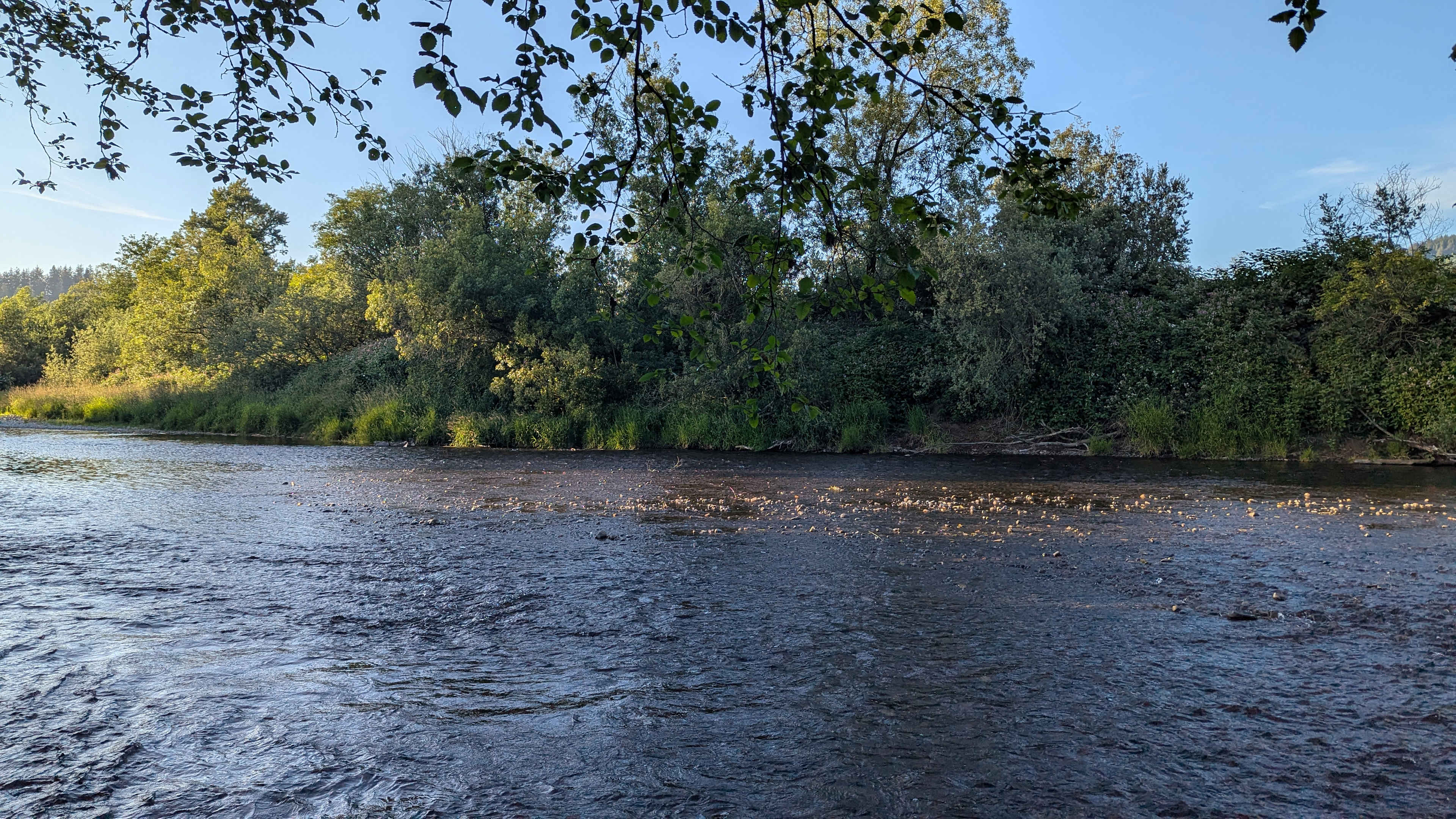 Tillamook - Trask River