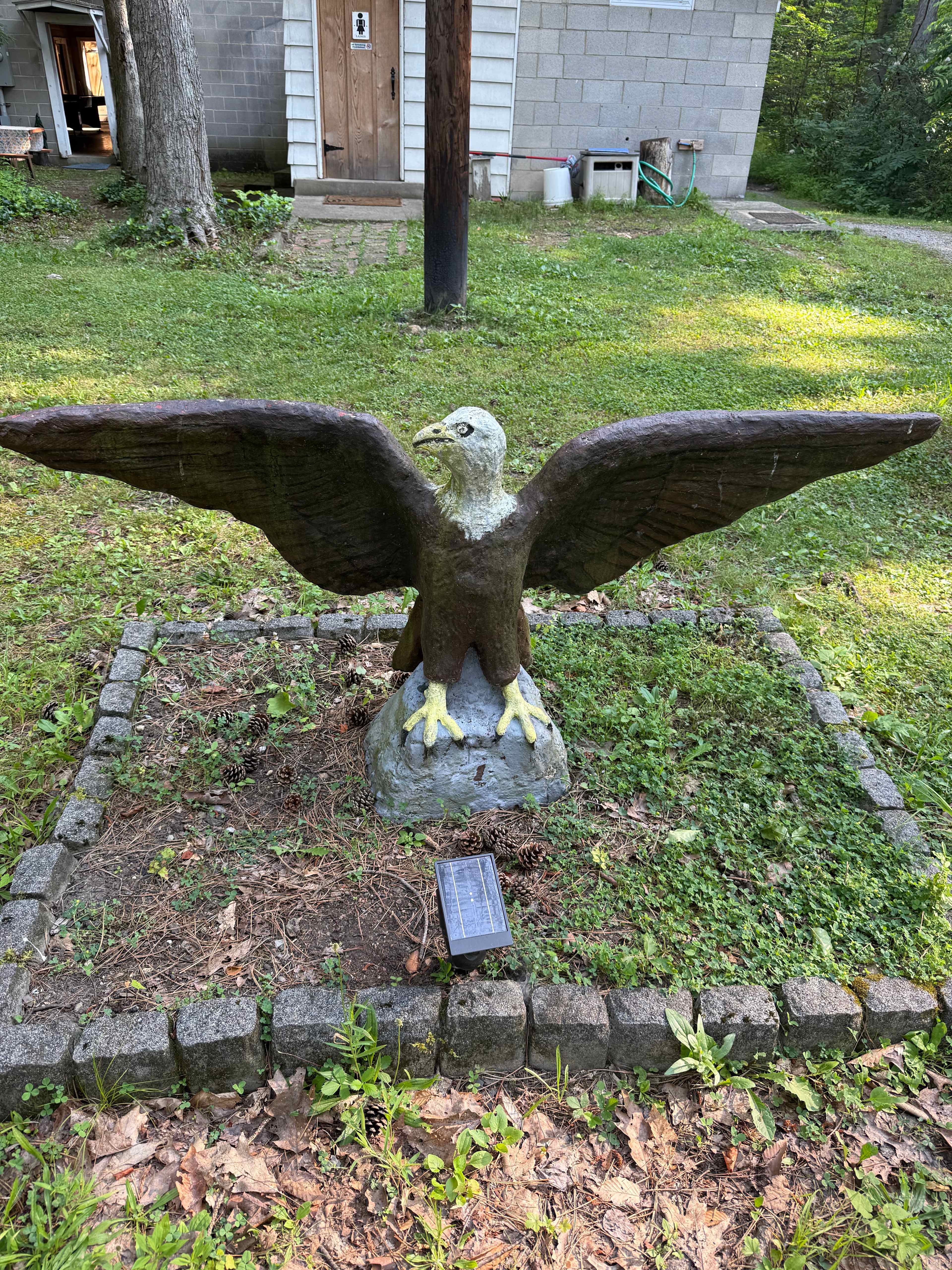 Greated with a eagle