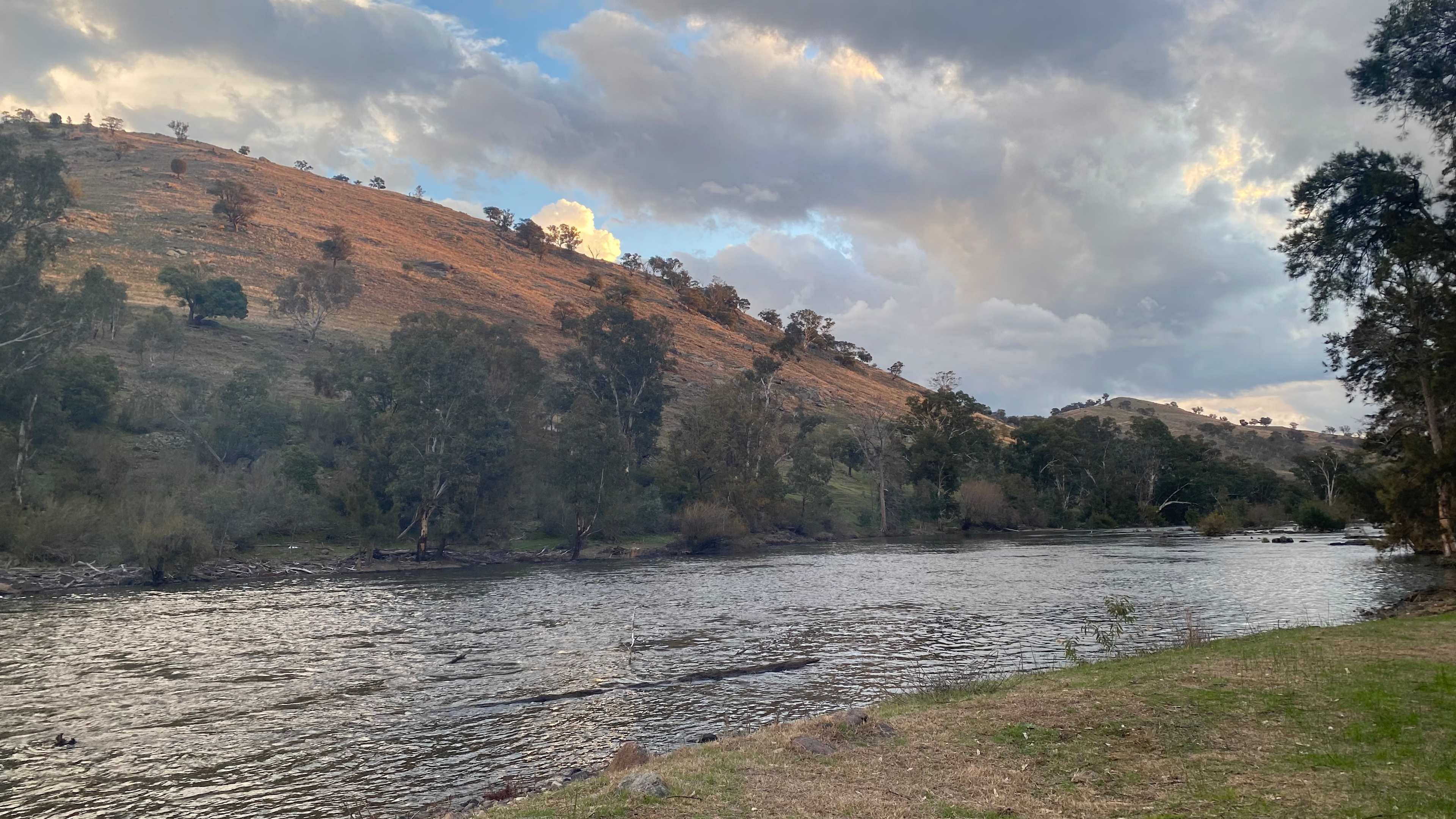 Jarabin on the Murrumbidgee