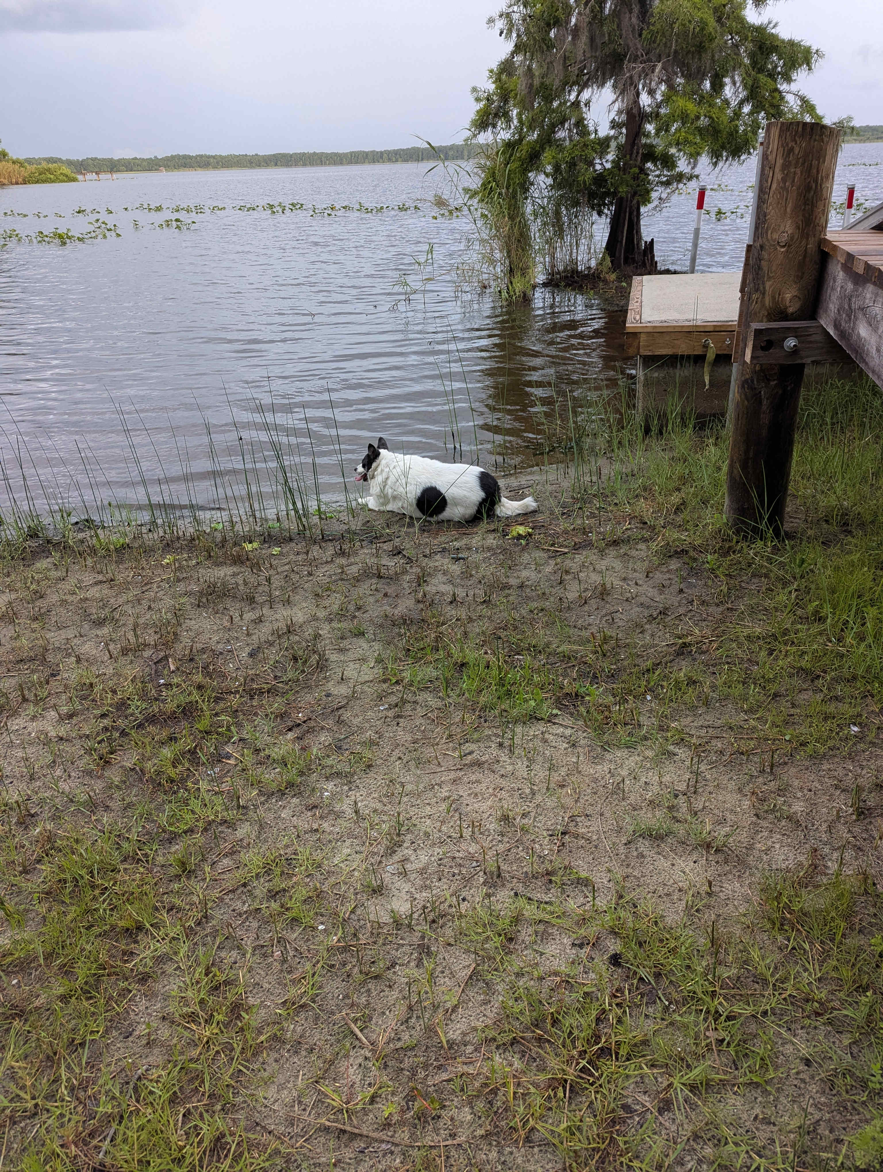 Lakeside RV site