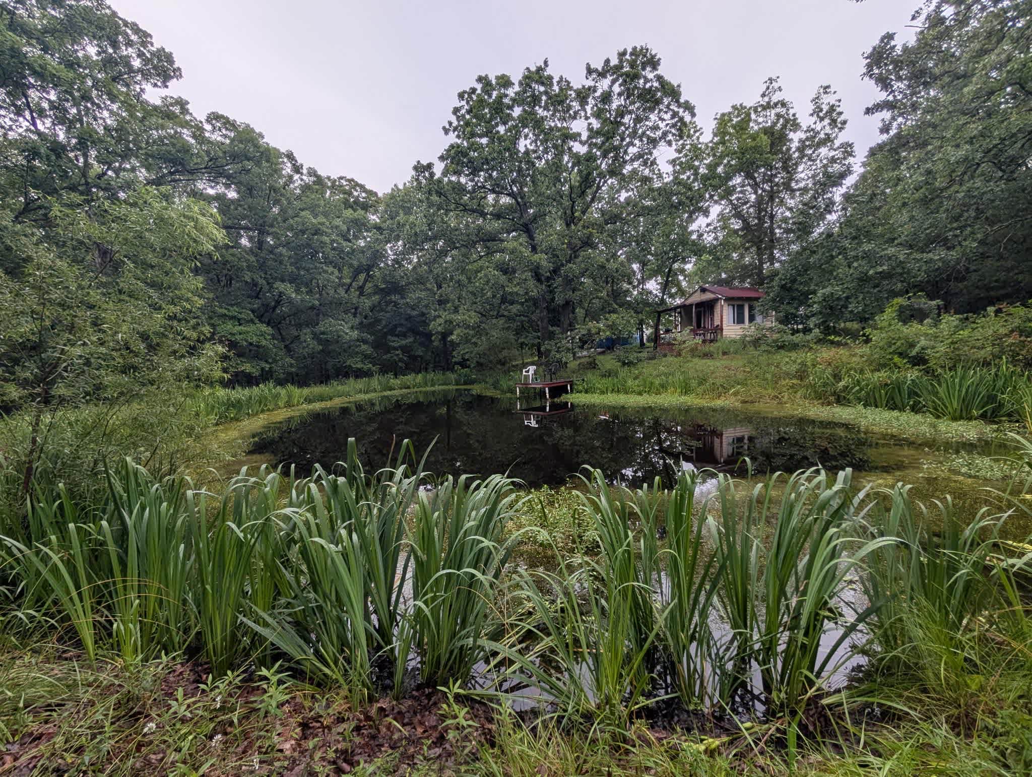 Retreat to the Country