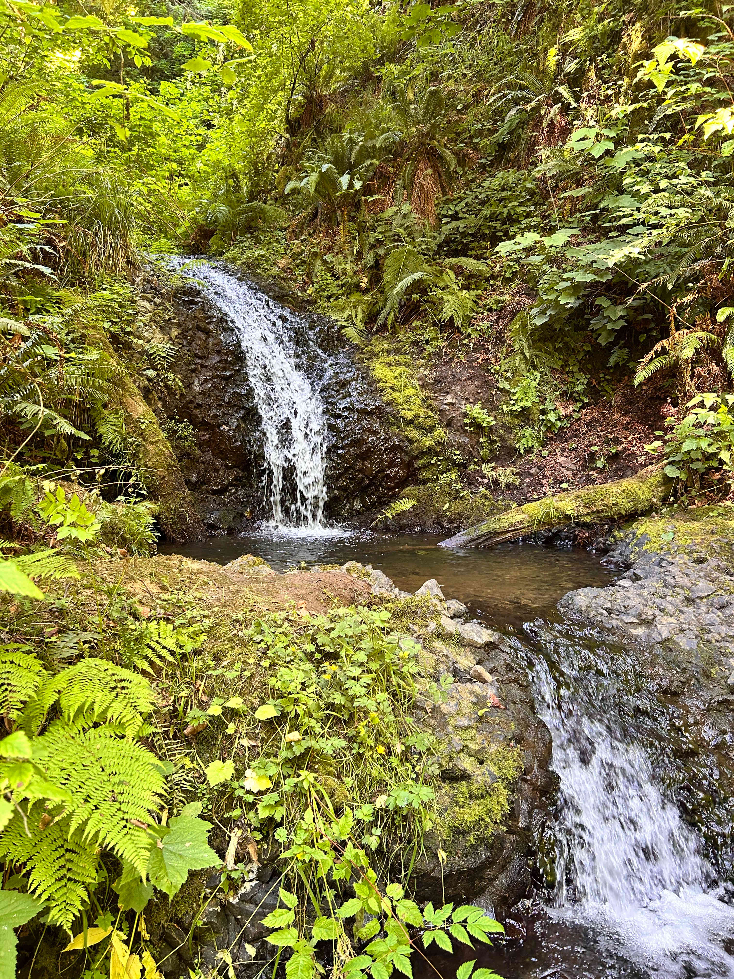 Darling waterfall below campsite 10