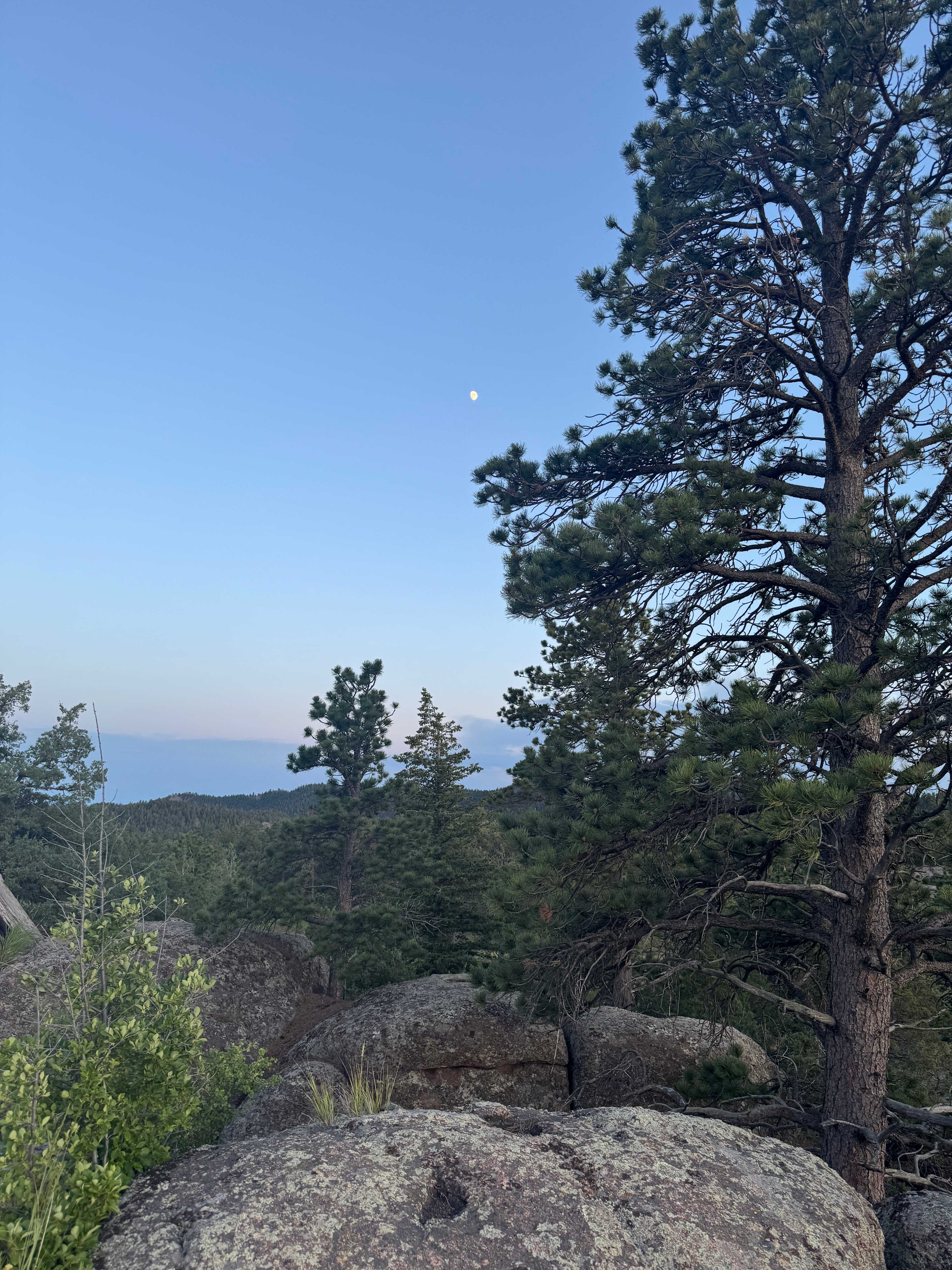 Camp Overland