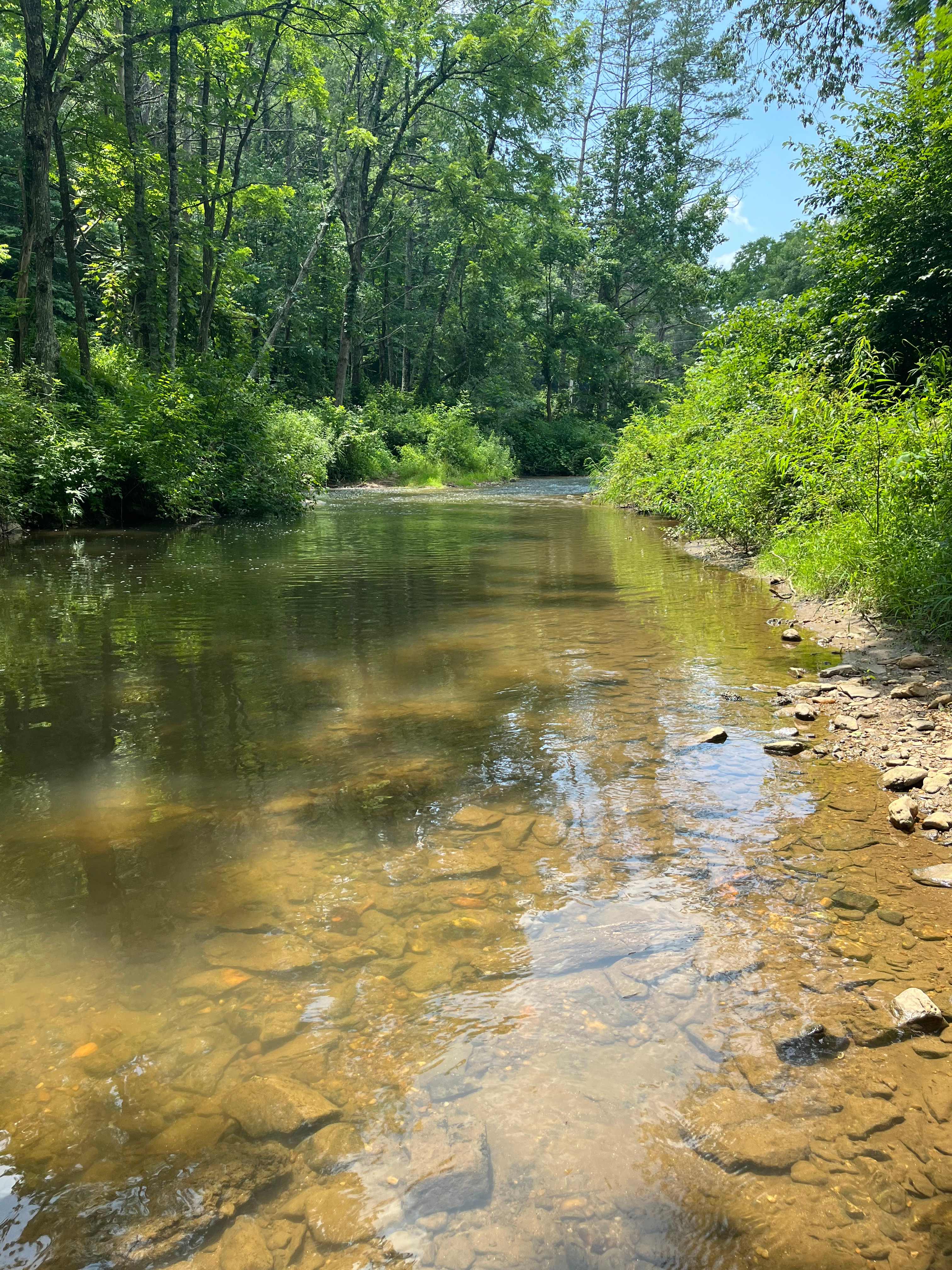 Hippie Hollow