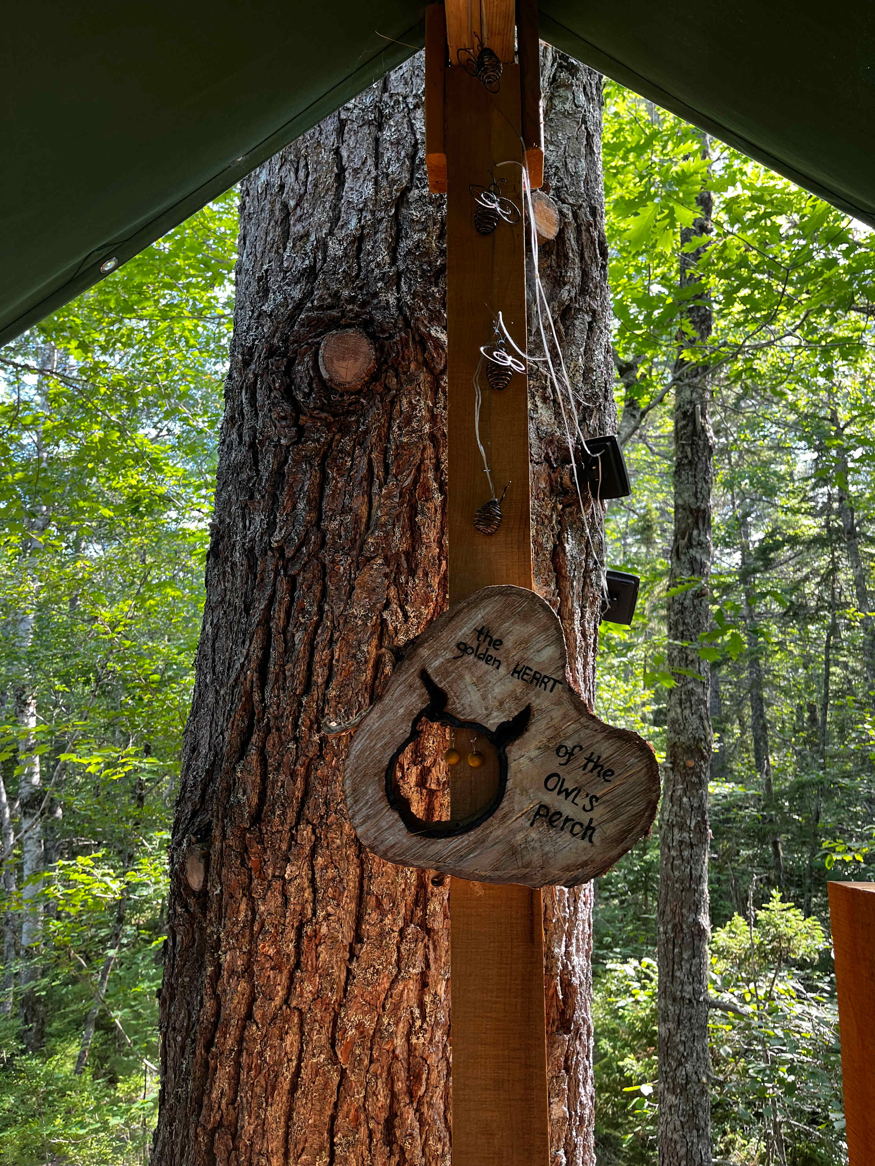 Owl's Hollow Eco-Therapy Glamping