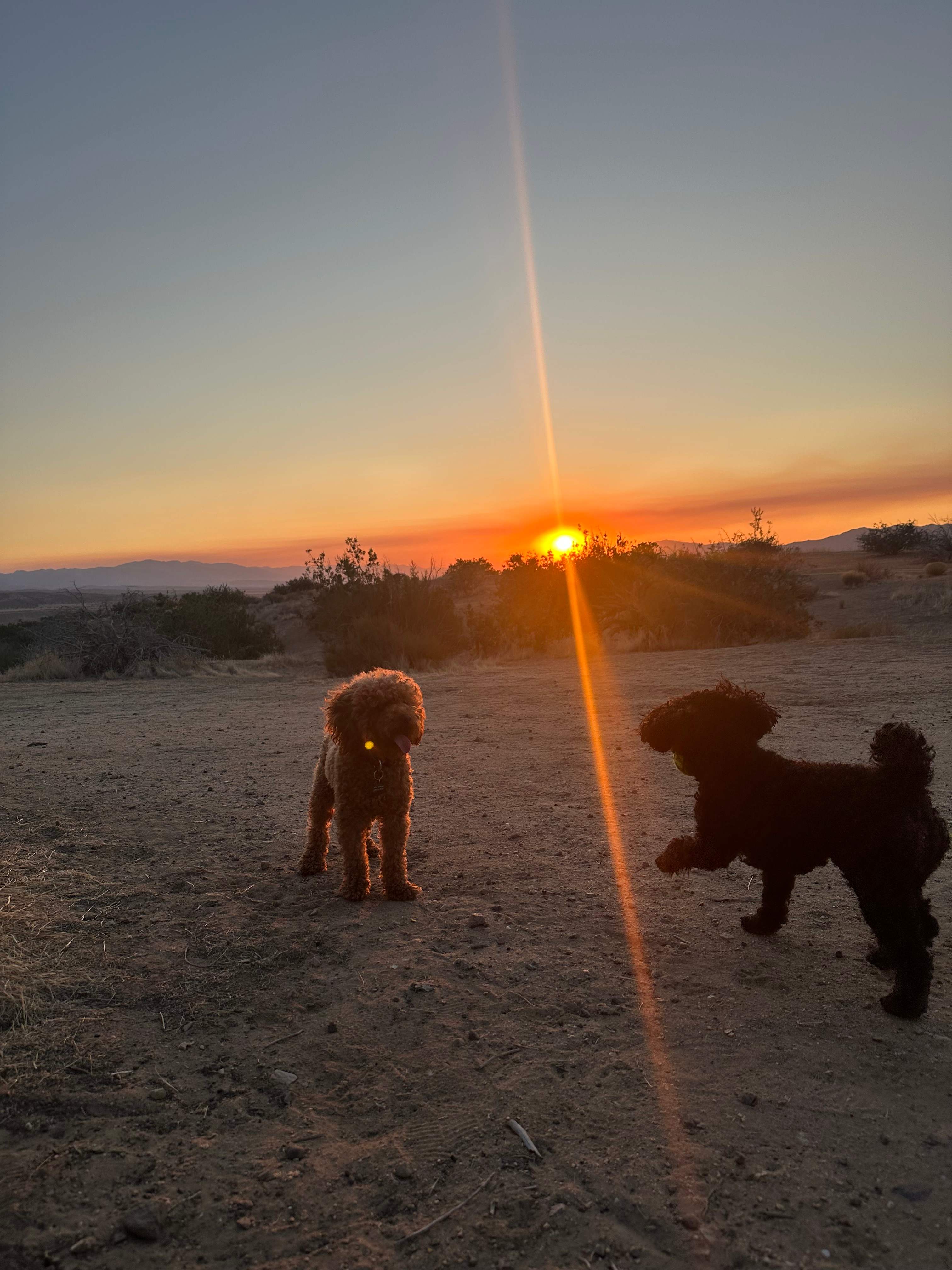 Cuyama Badlands
