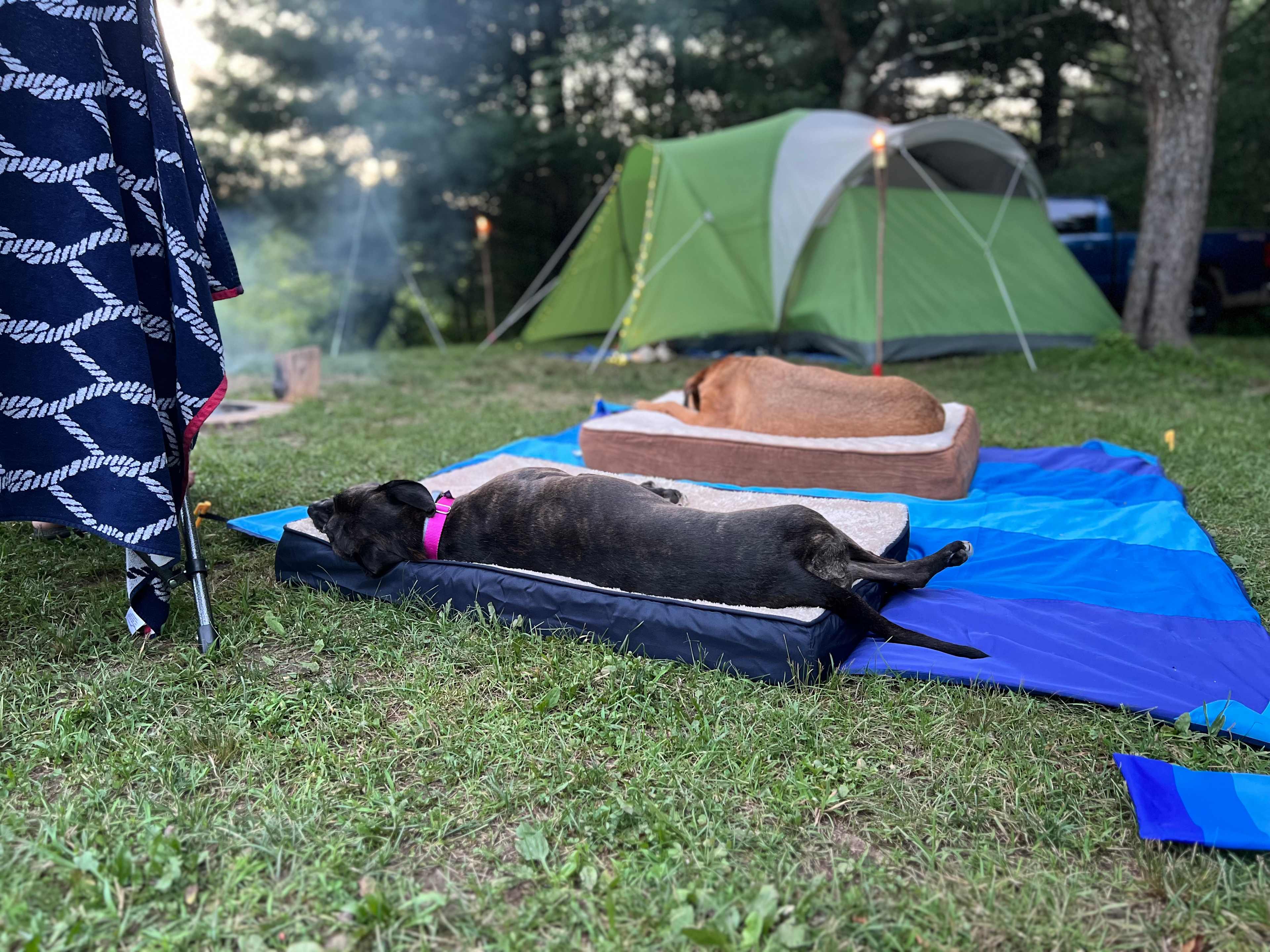 Clear Water Camp
