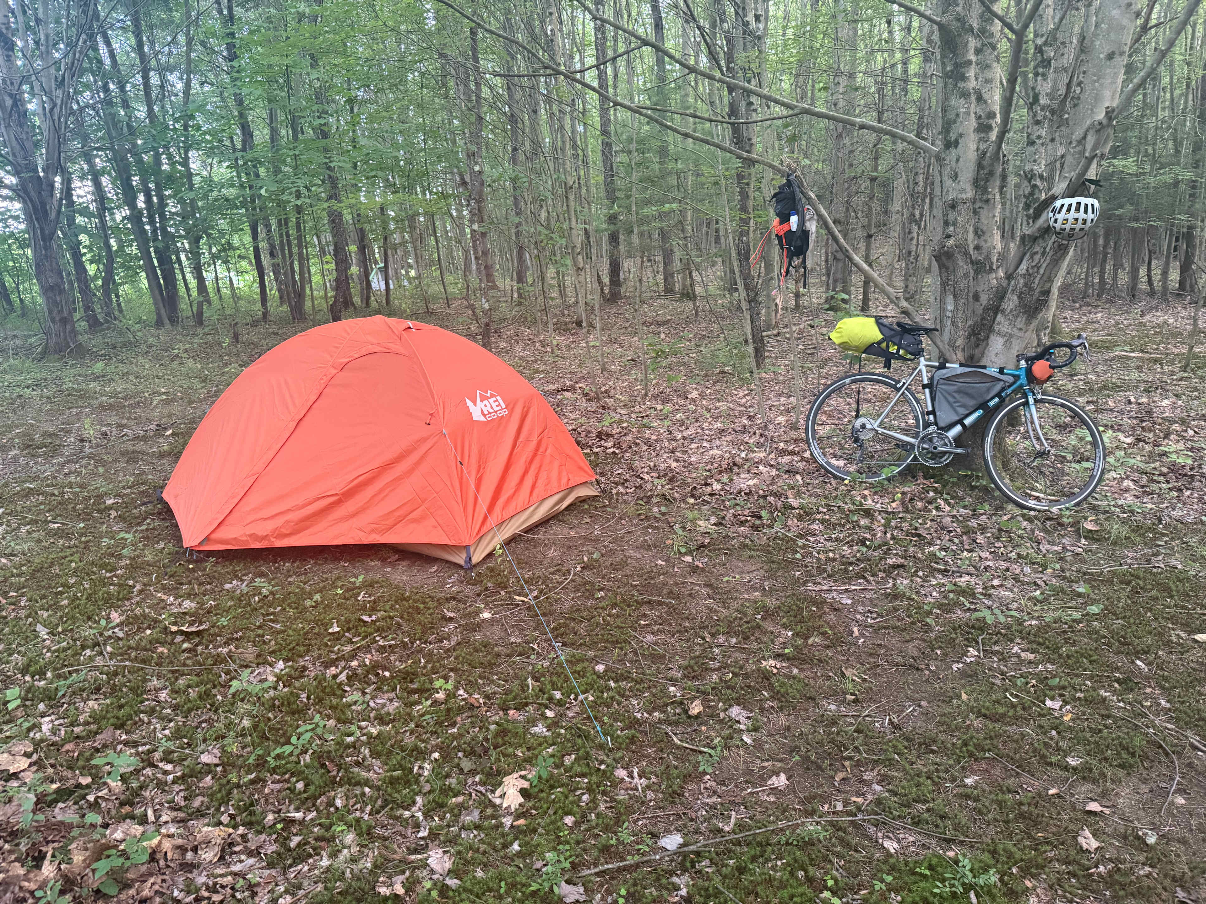 Private campsites miles of trails!