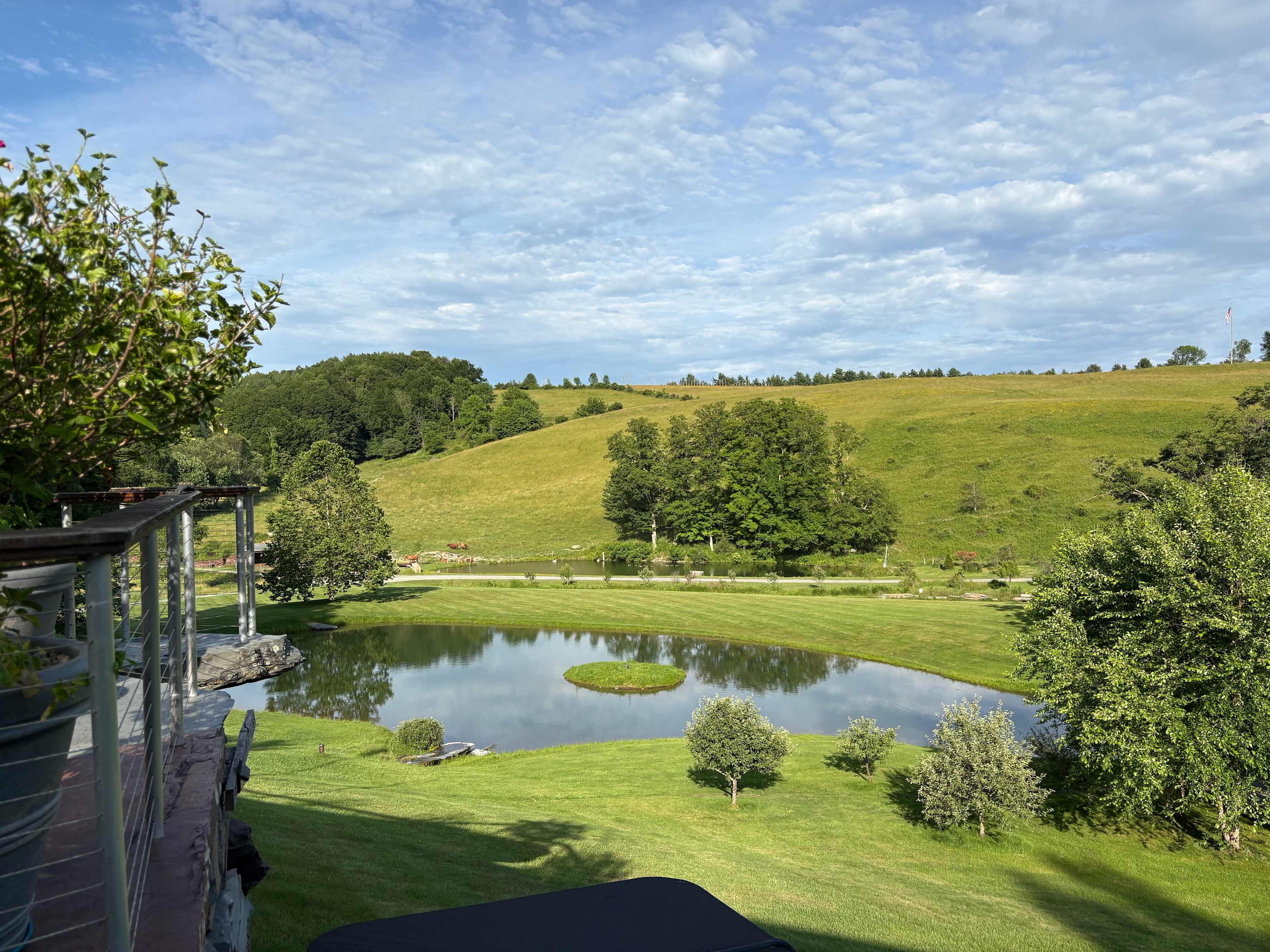 View from the back of the farm