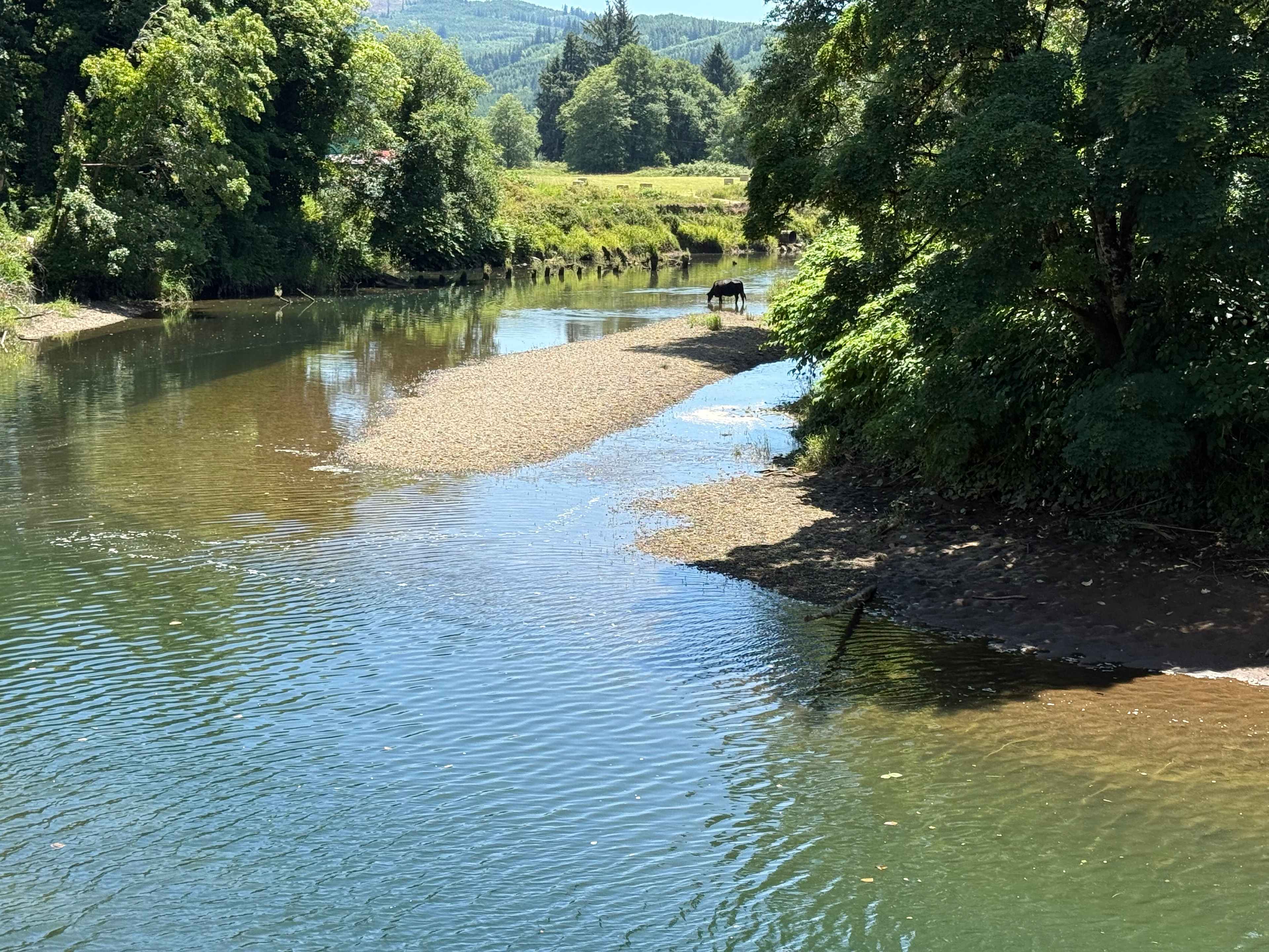 Nearby Grays River (in walking distance)