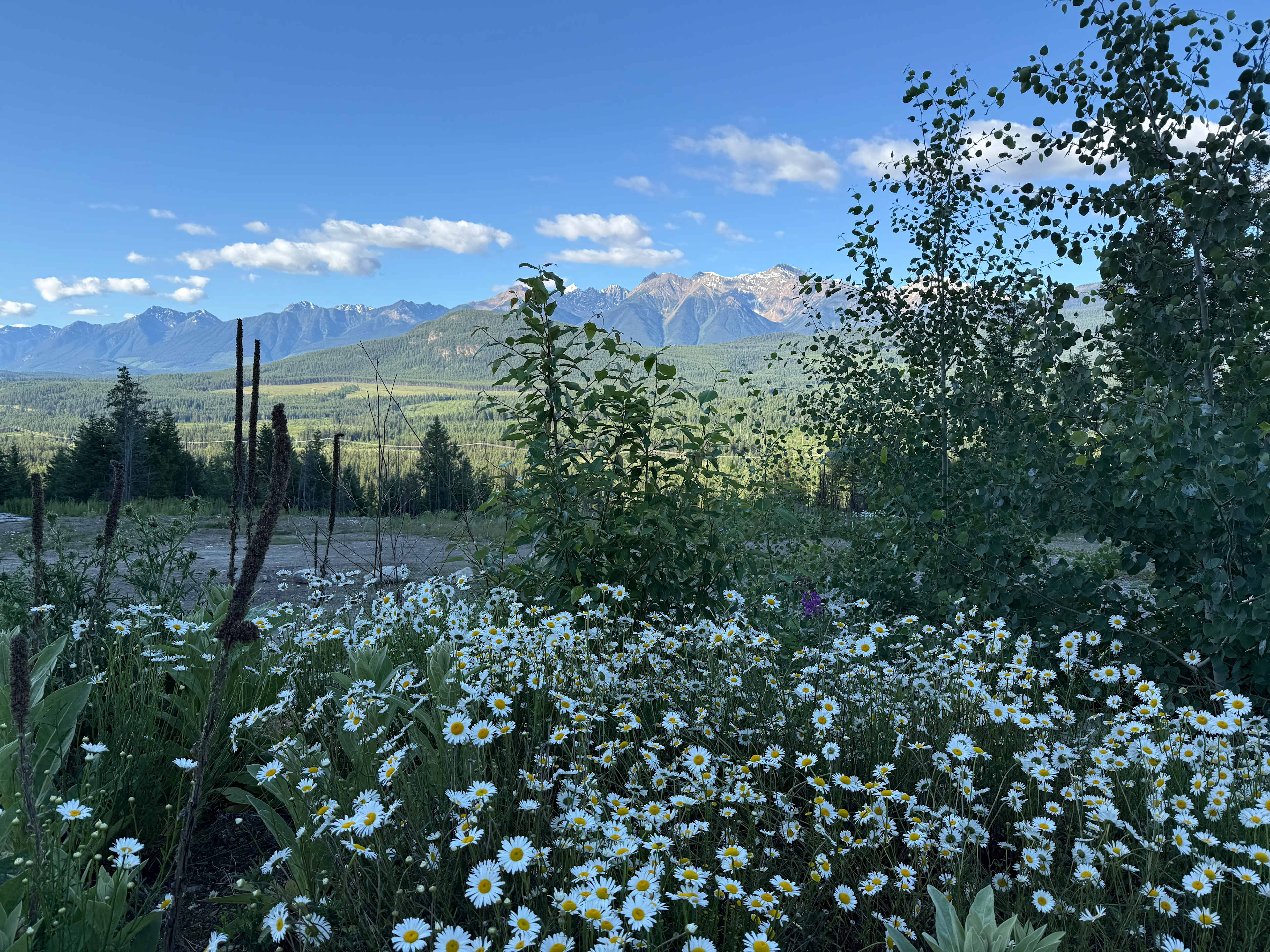 Secluded River Front Property