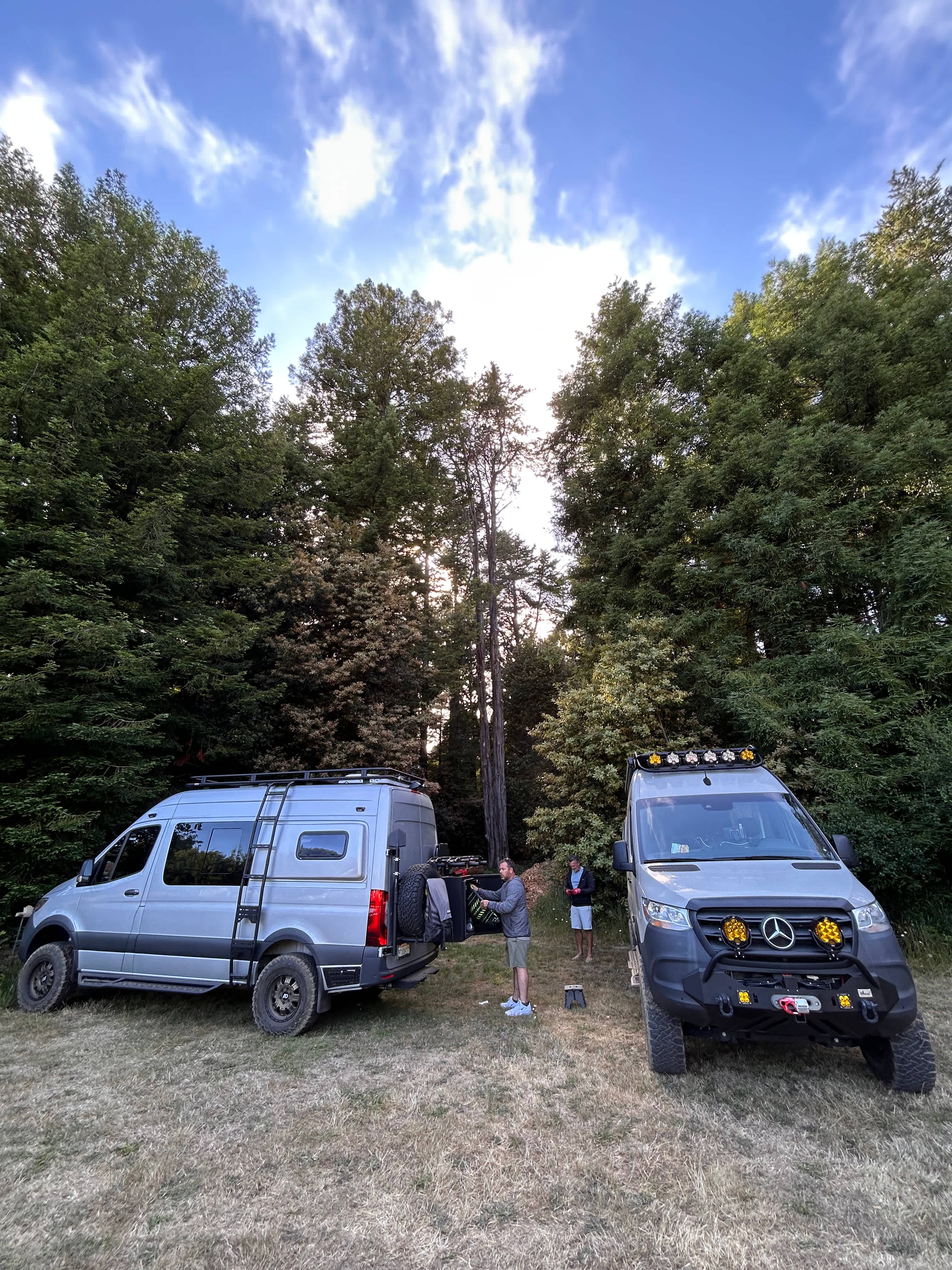 Meadow Farm & Forest
