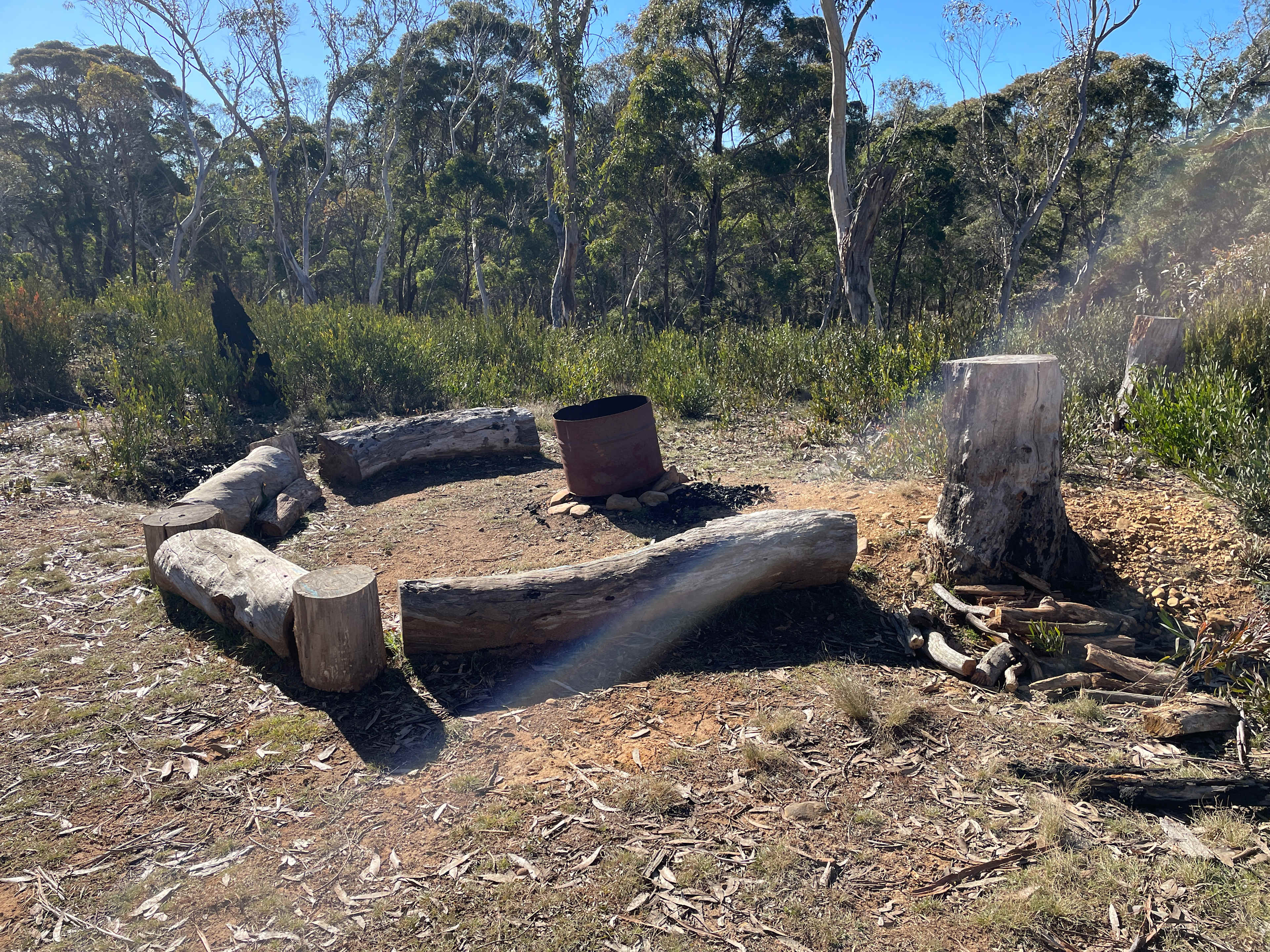 Scribbly Gum secluded bush camping