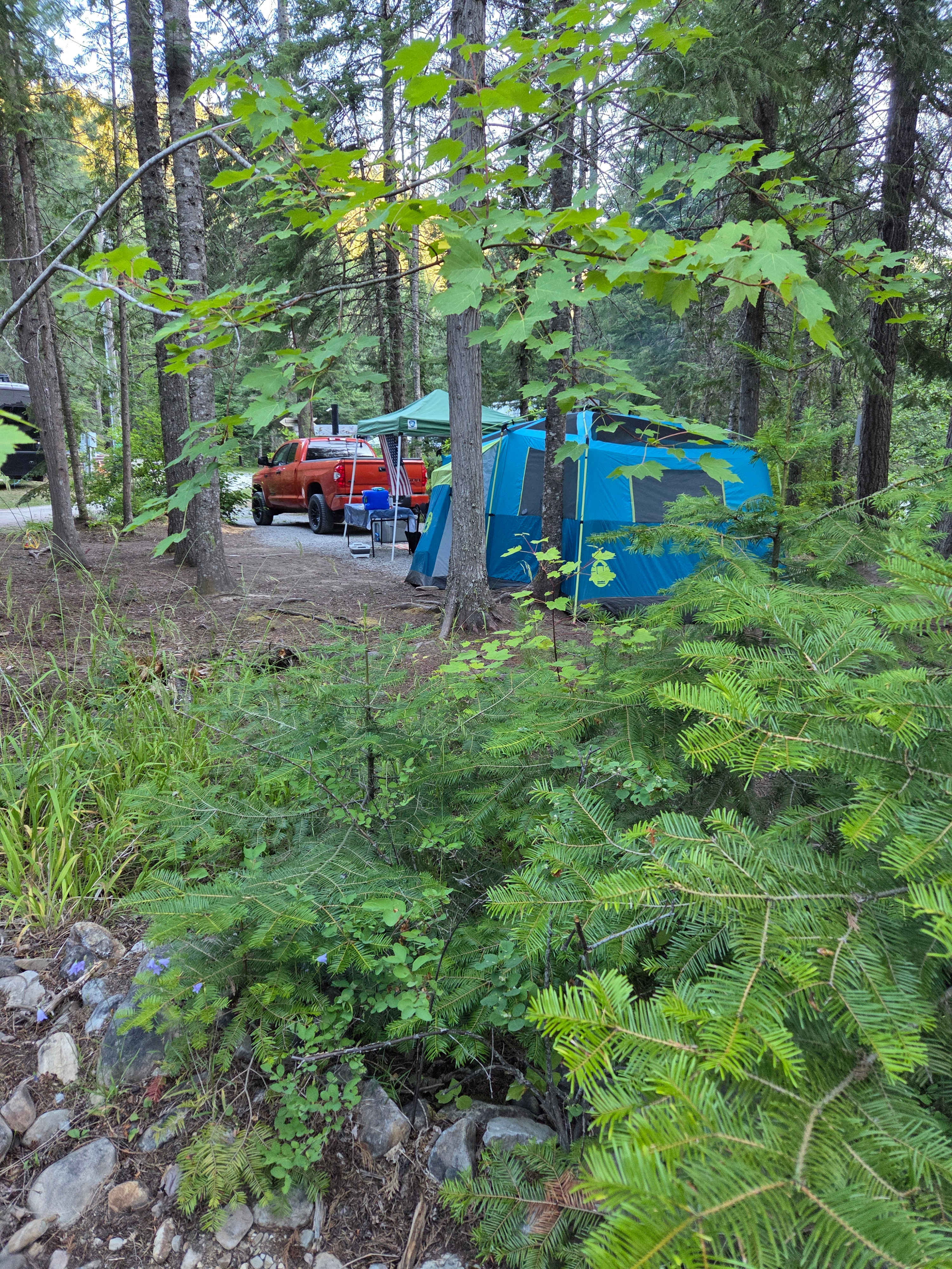 Squatch site 18