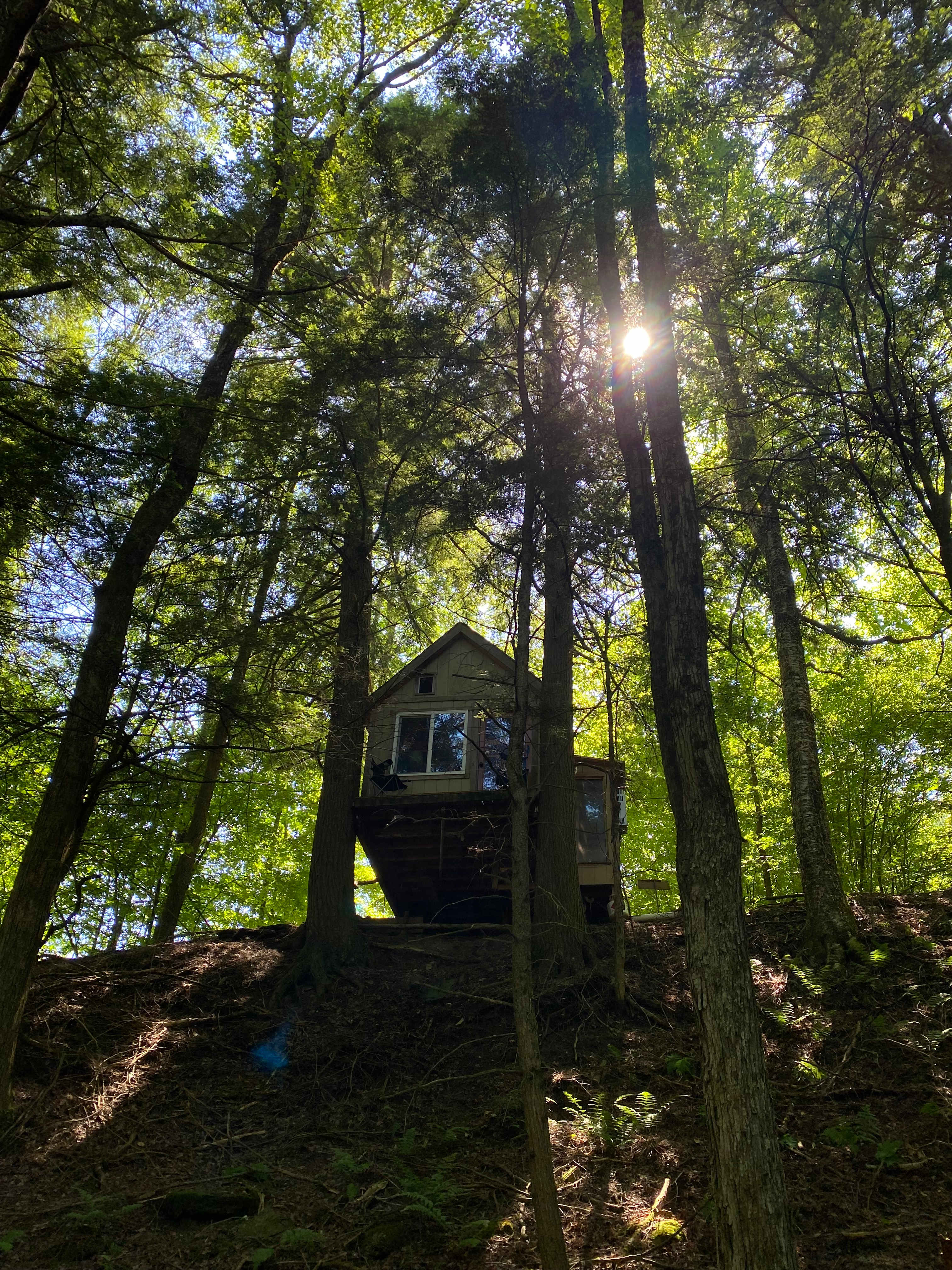 Hemlock Cabin