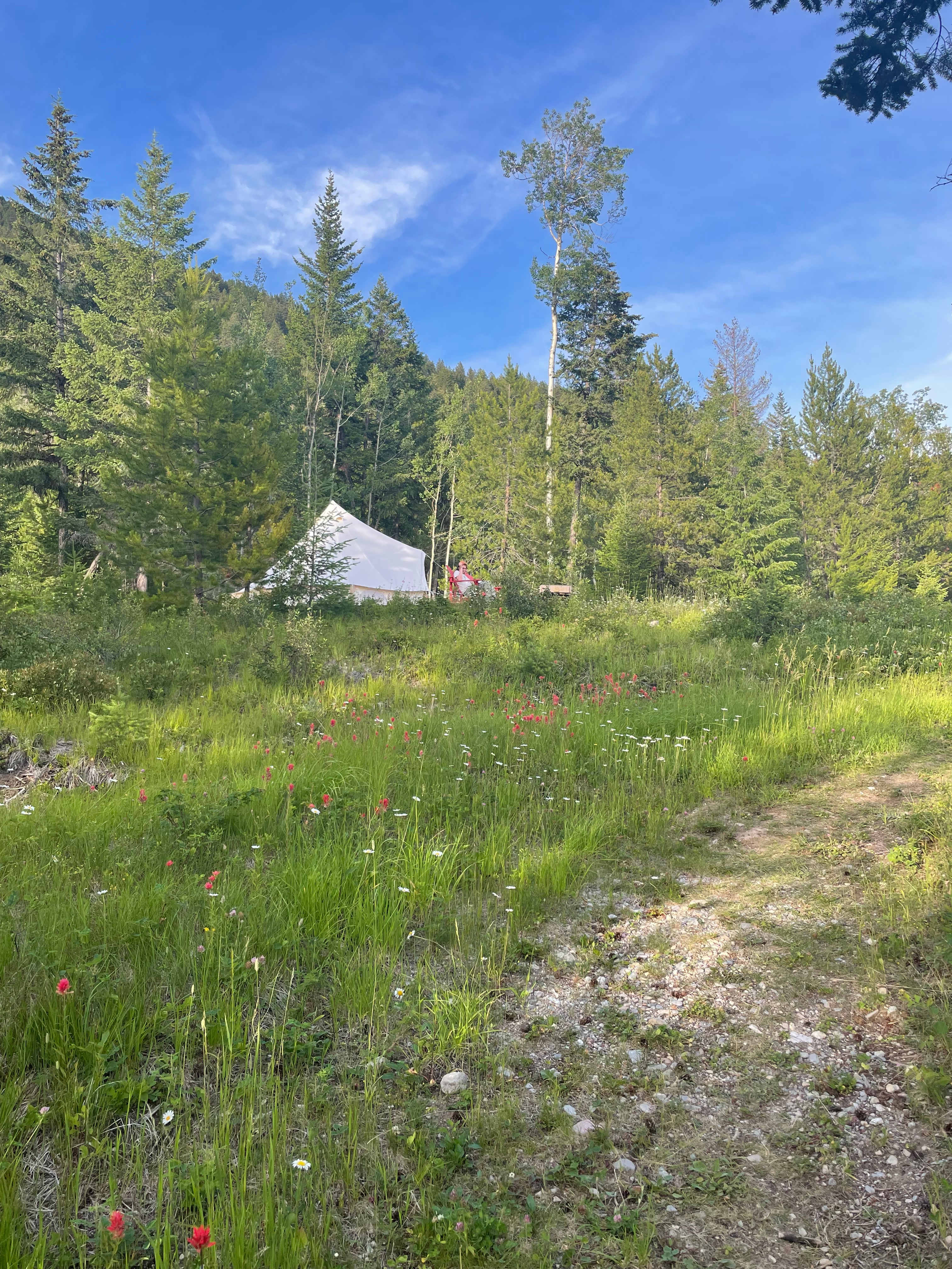 Brisco tent and wildflowers 