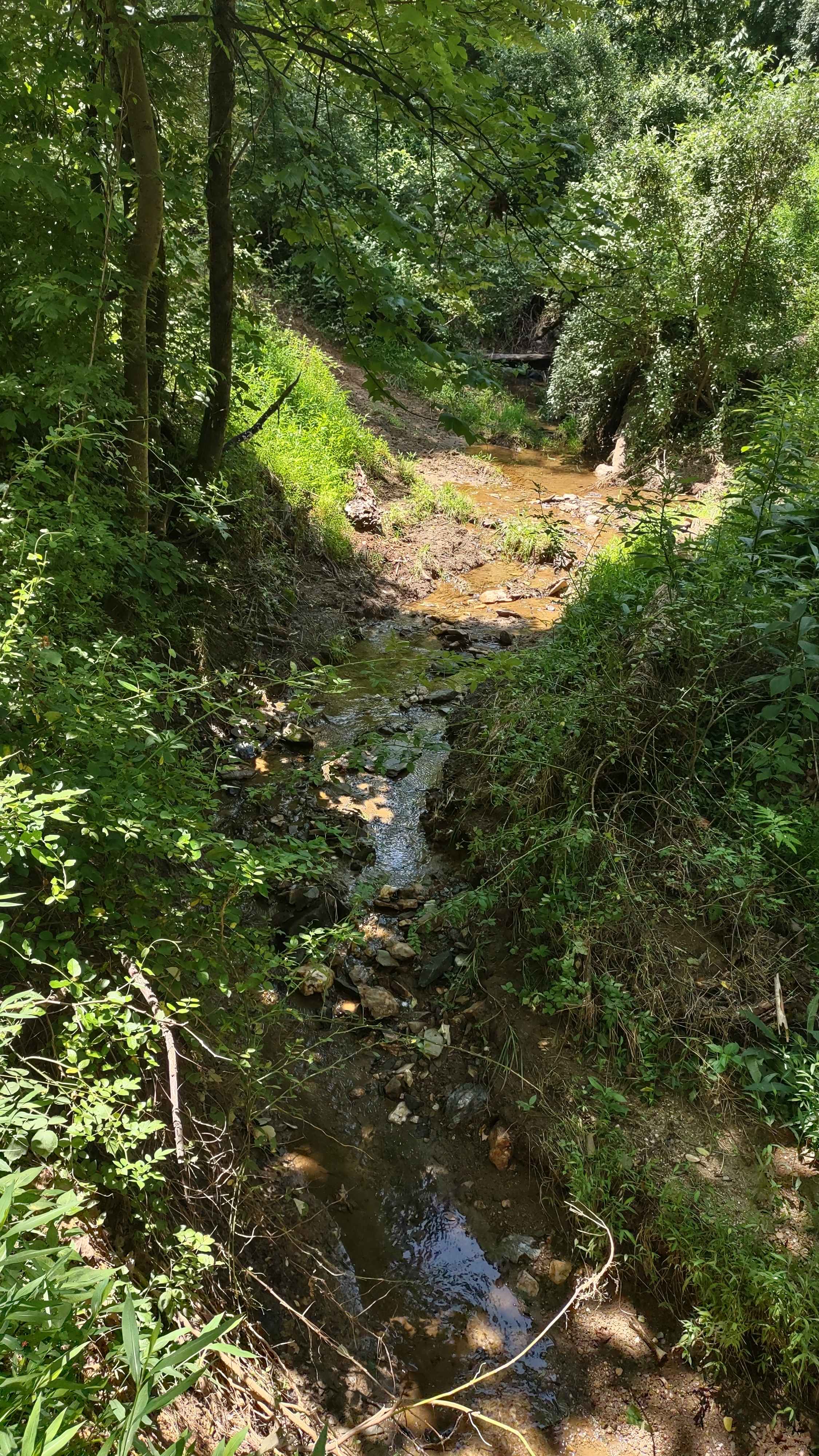 Camp Loudoun