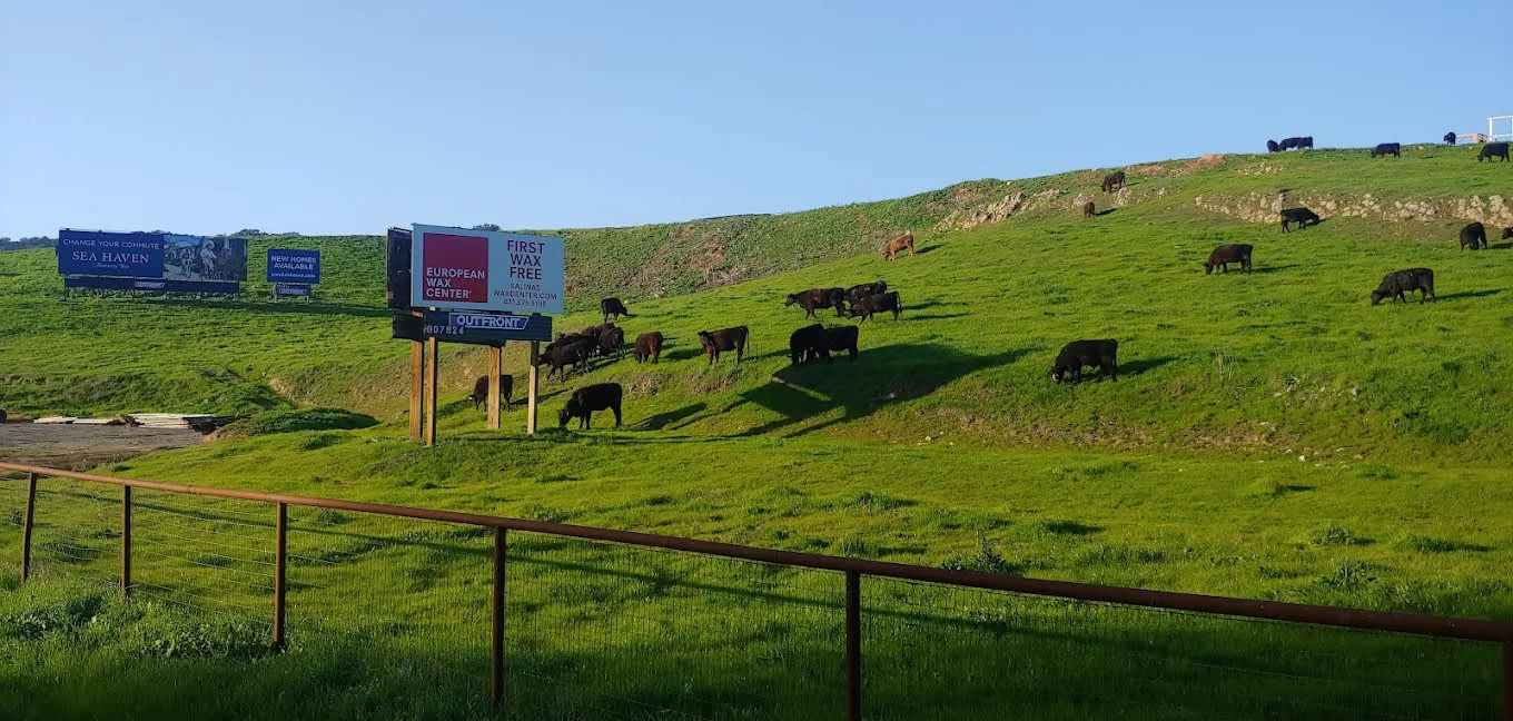 Monterey RV Park