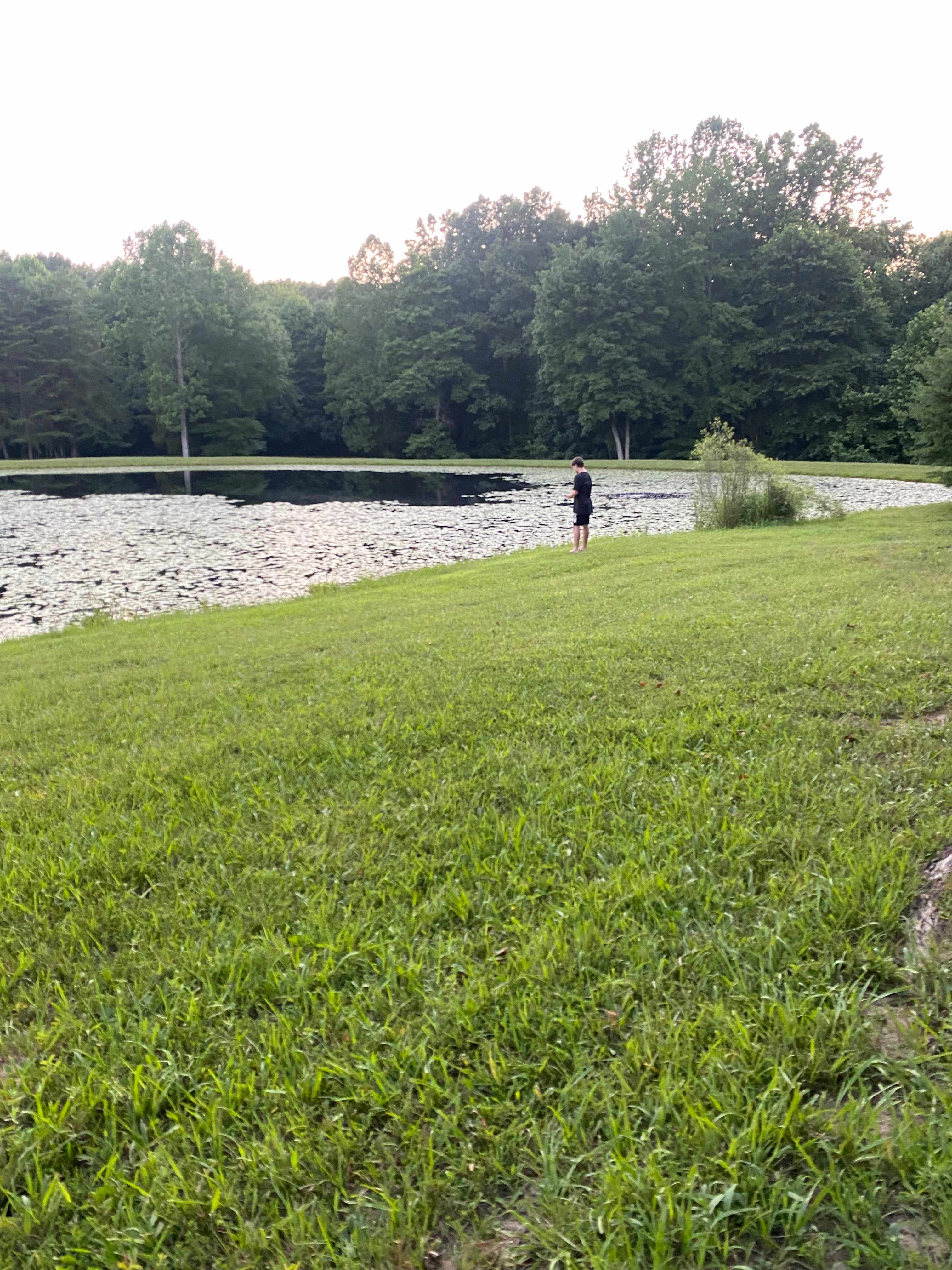 Beautiful fishing pond 