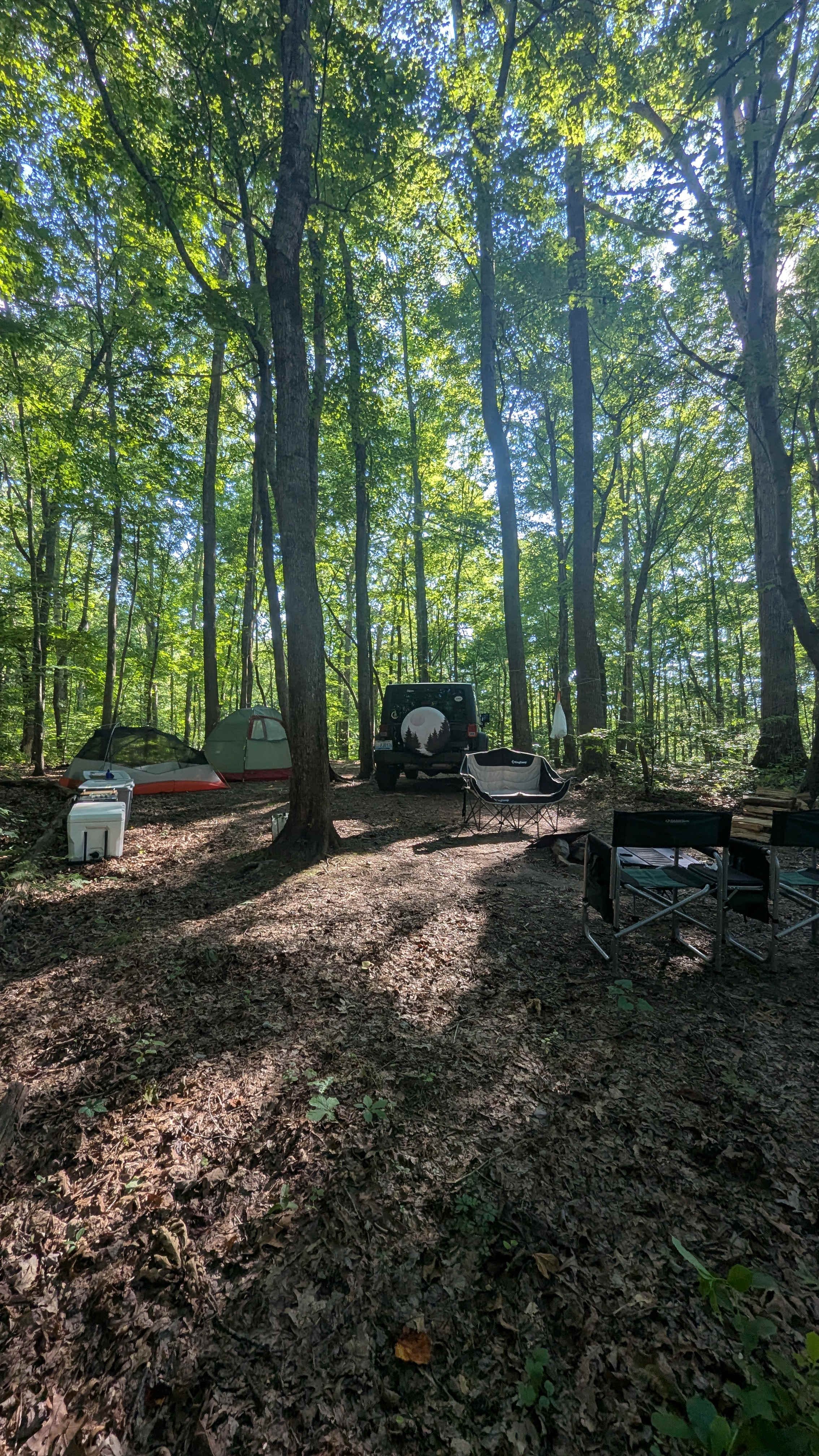 Belle and Beau Acres