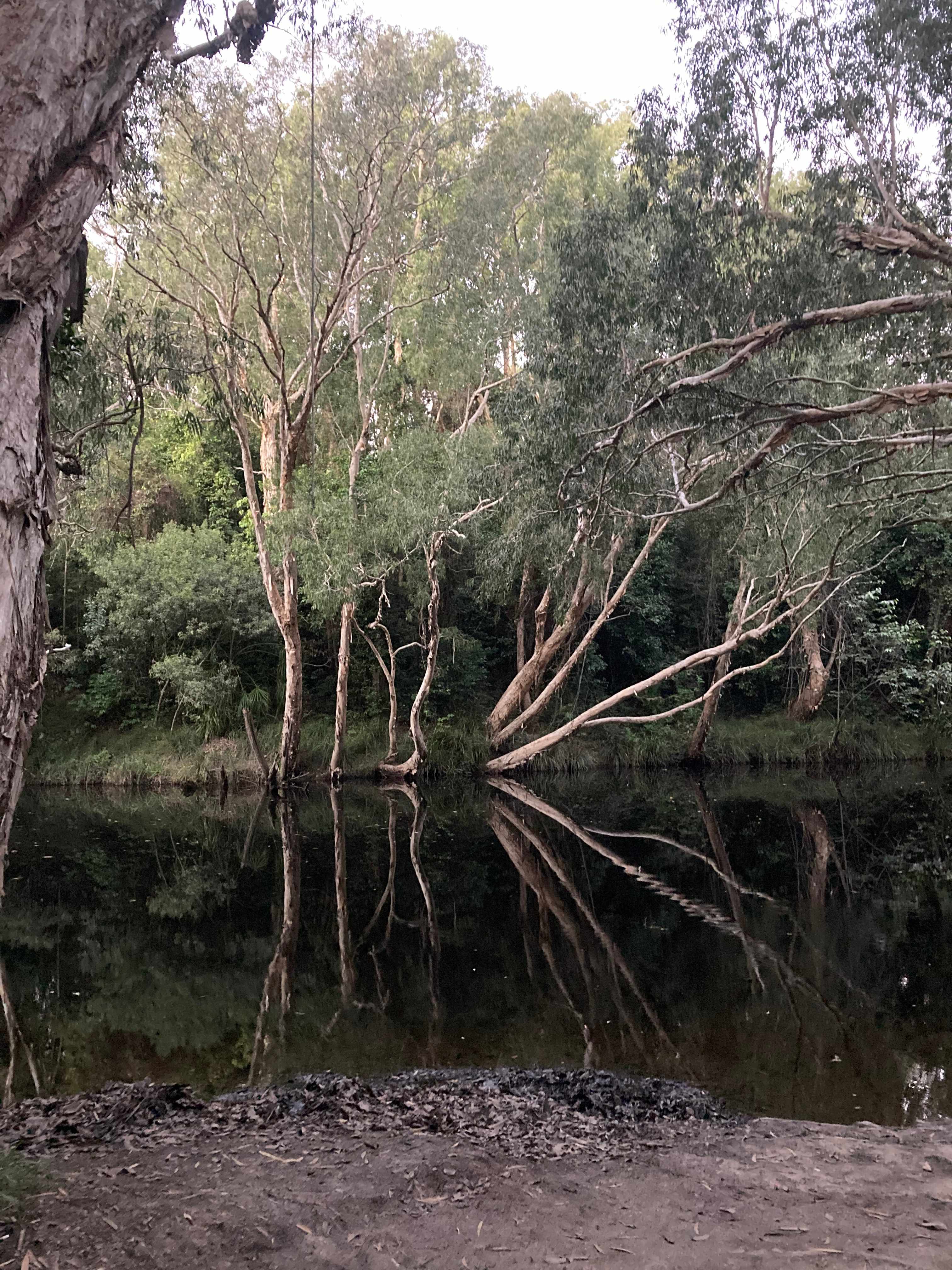 Ferns Hideaway Resort