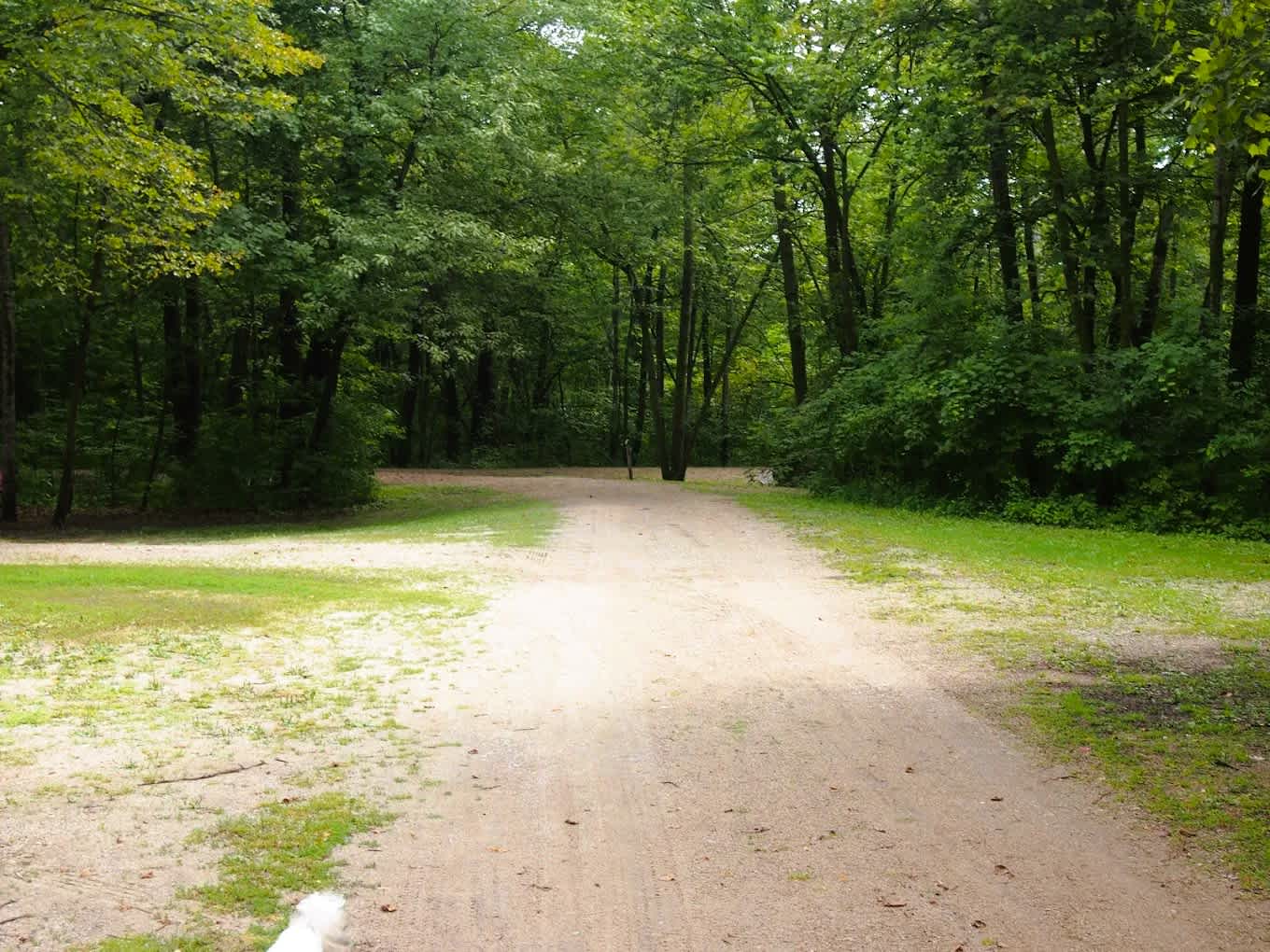 Lake Koronis Regional Park