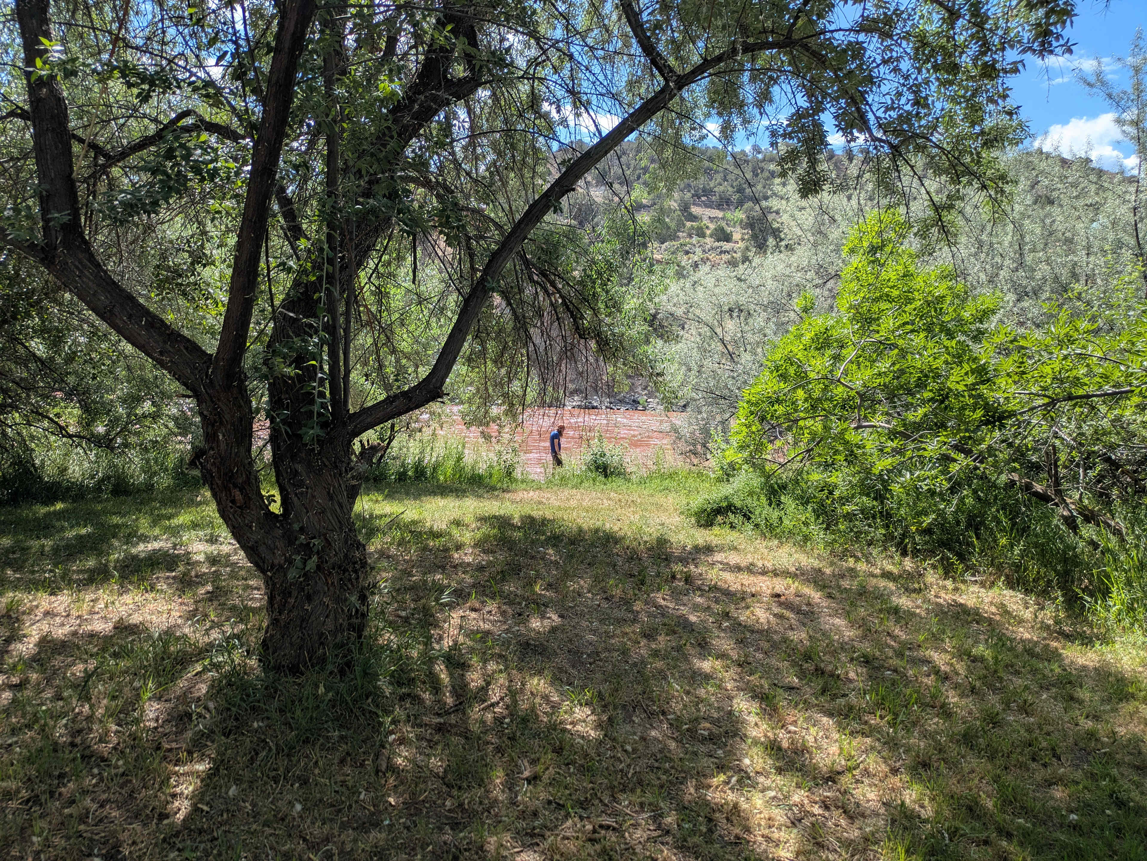 Sheep Site #1 - River Access