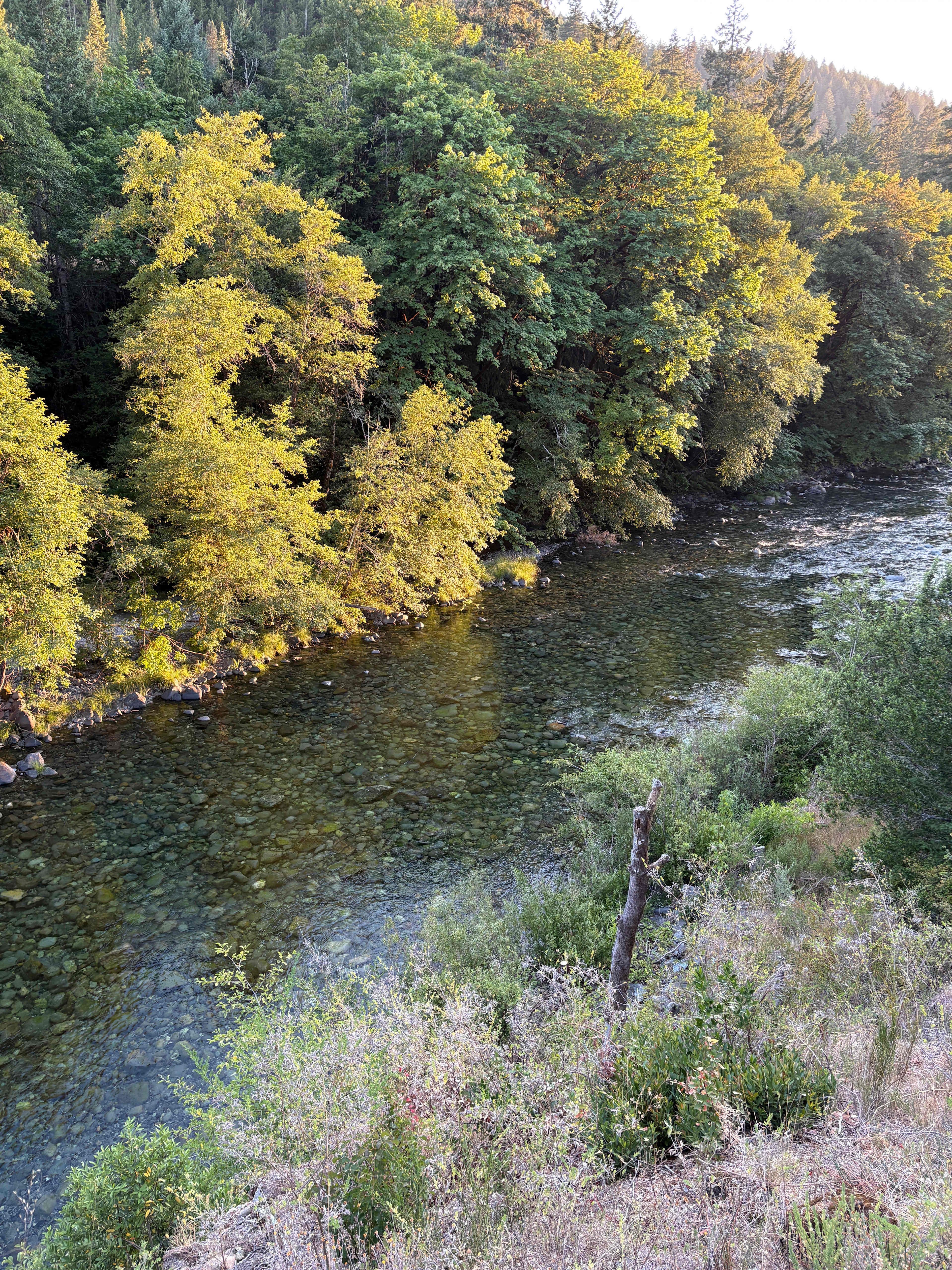 View from deck at golden hour 