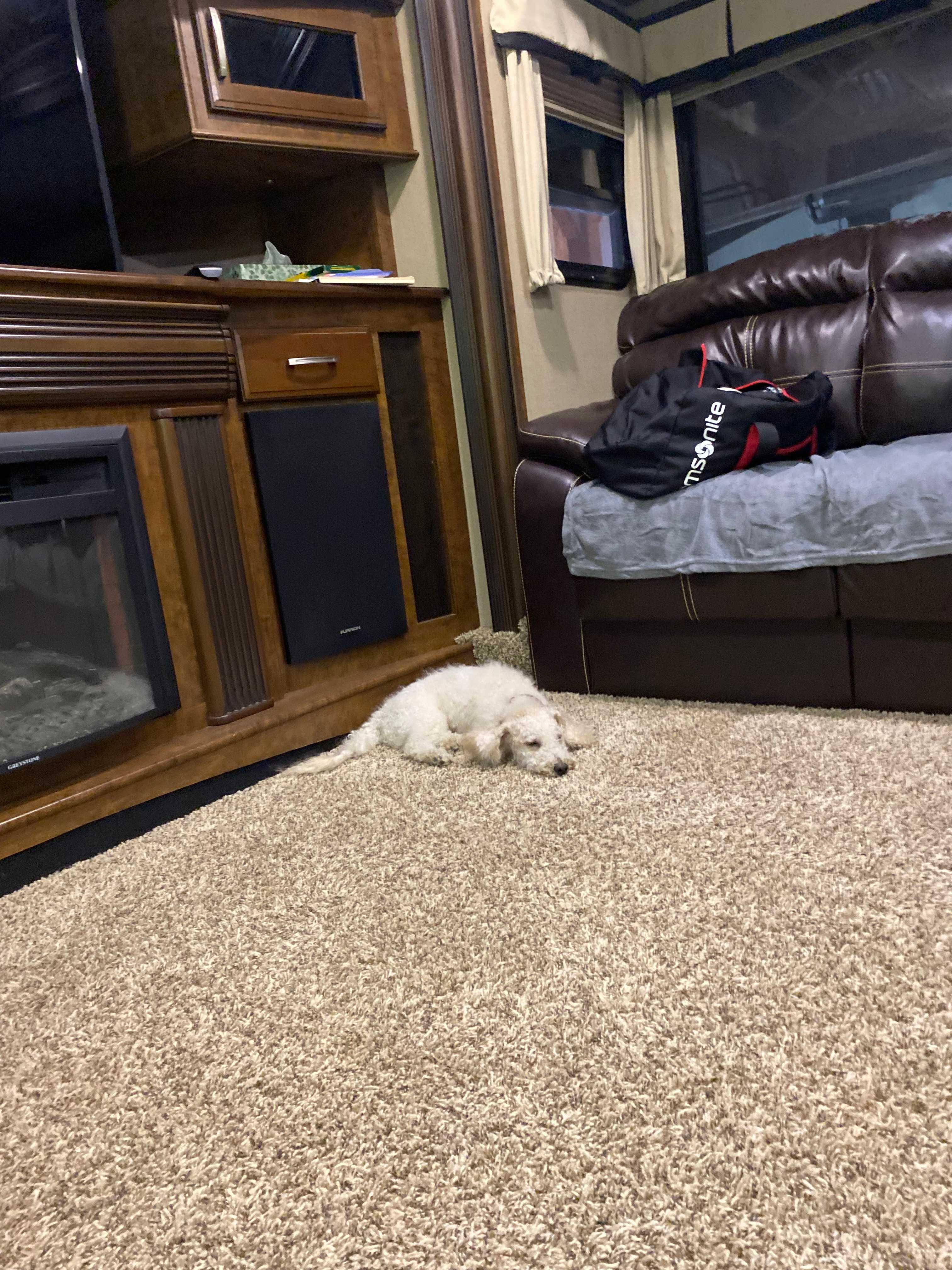 Tired from running around the property😊
