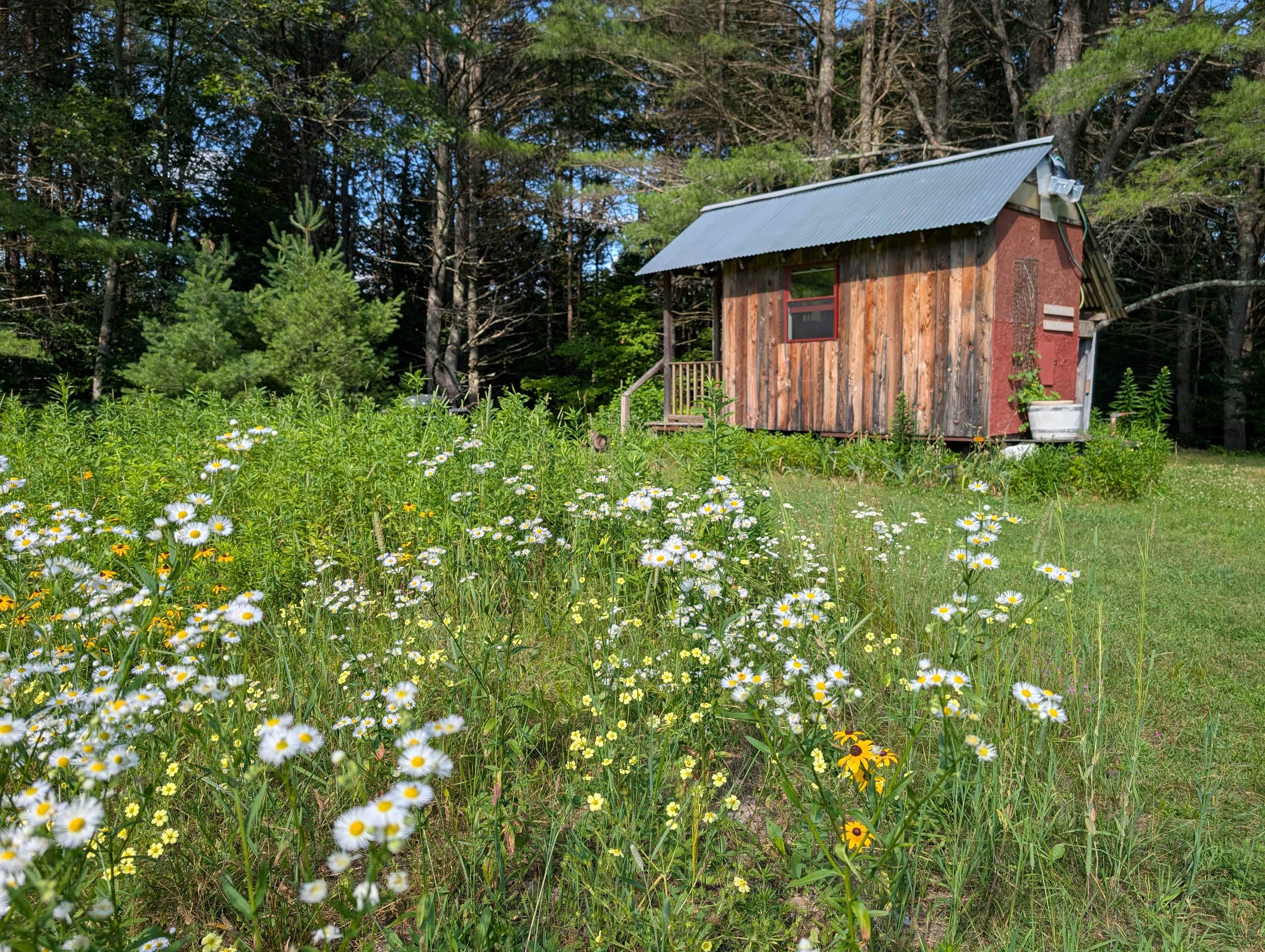 Clay Hill Corners Blueberry Farm