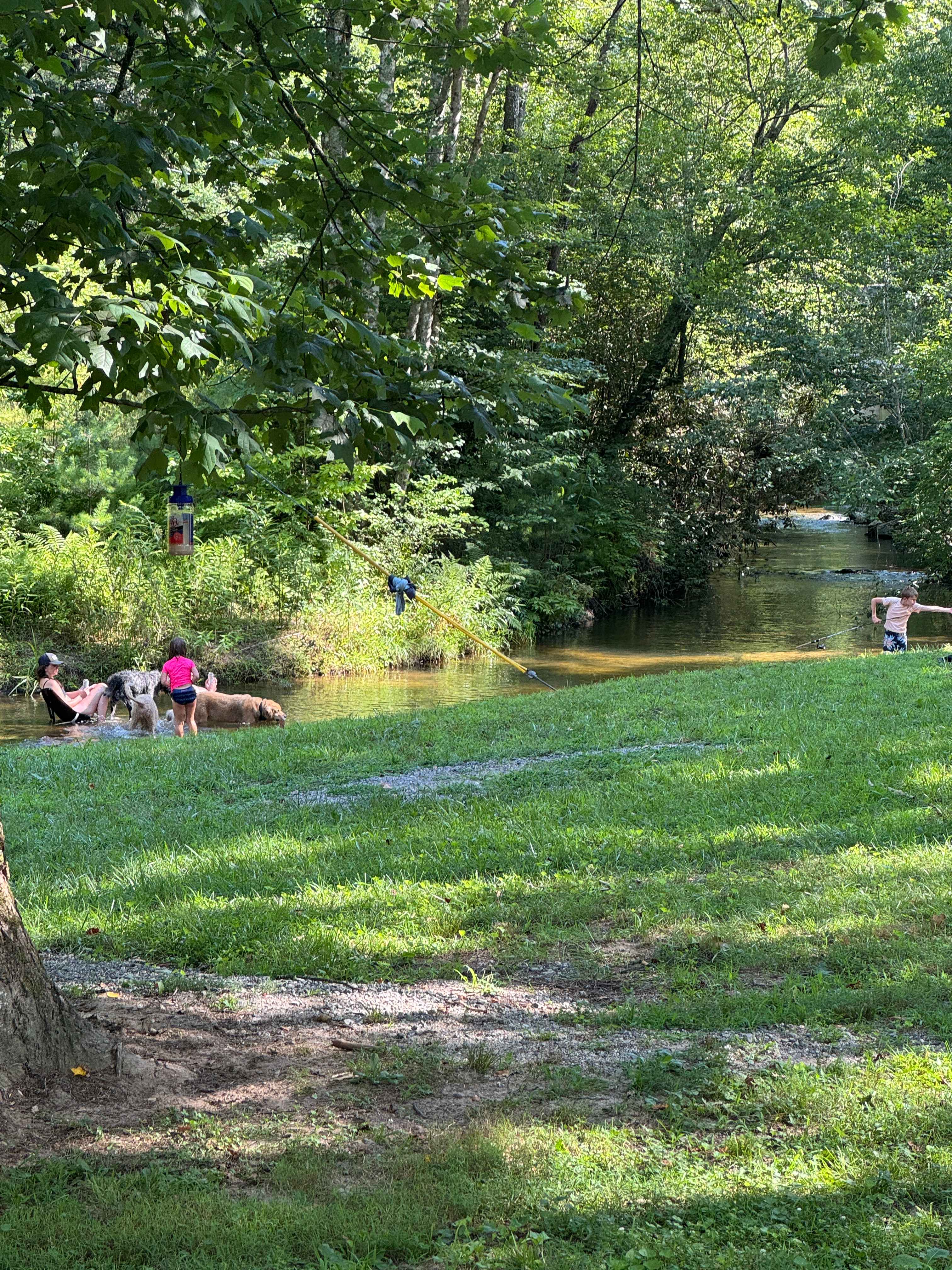 Creek side! 