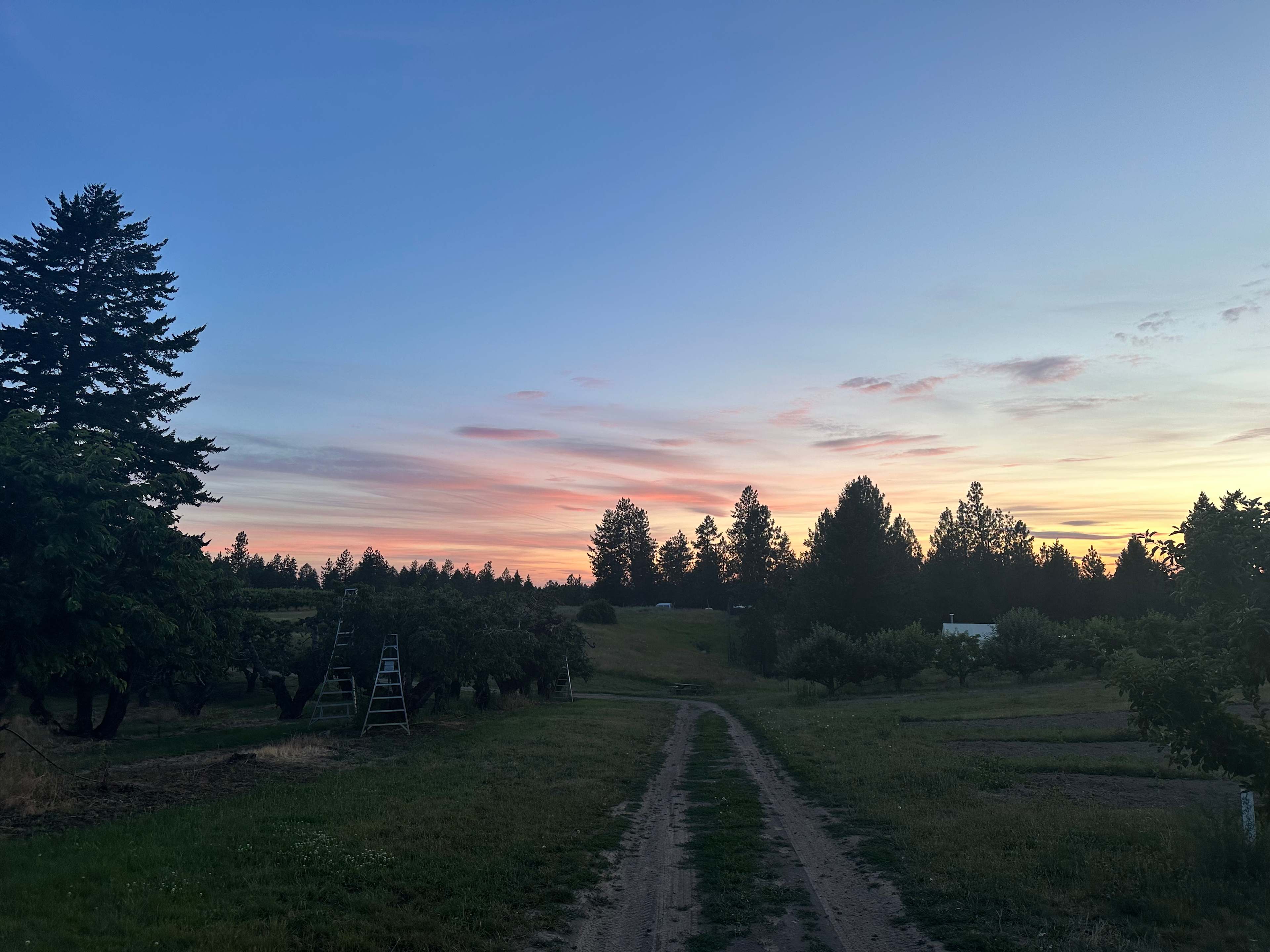 Hidden Acres Orchards