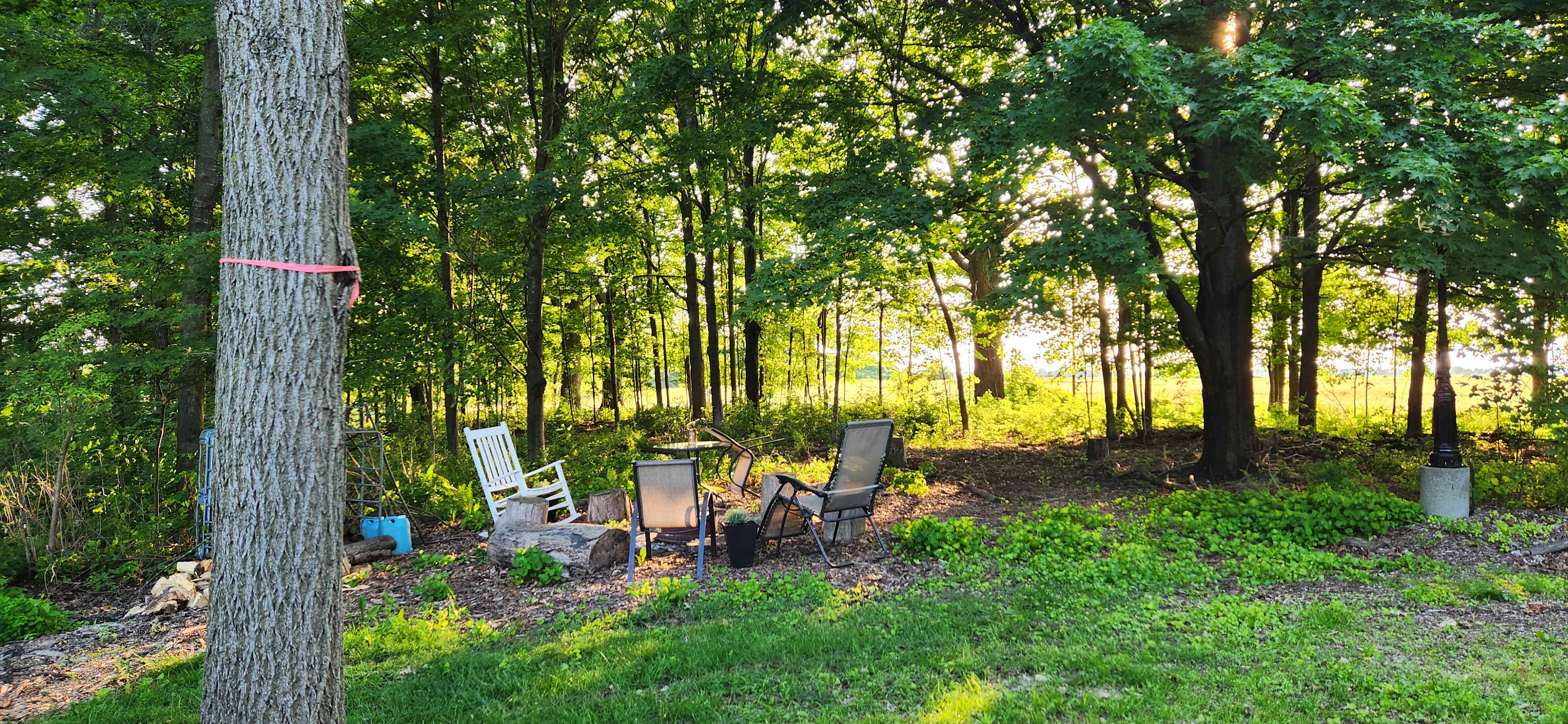 The firepit area